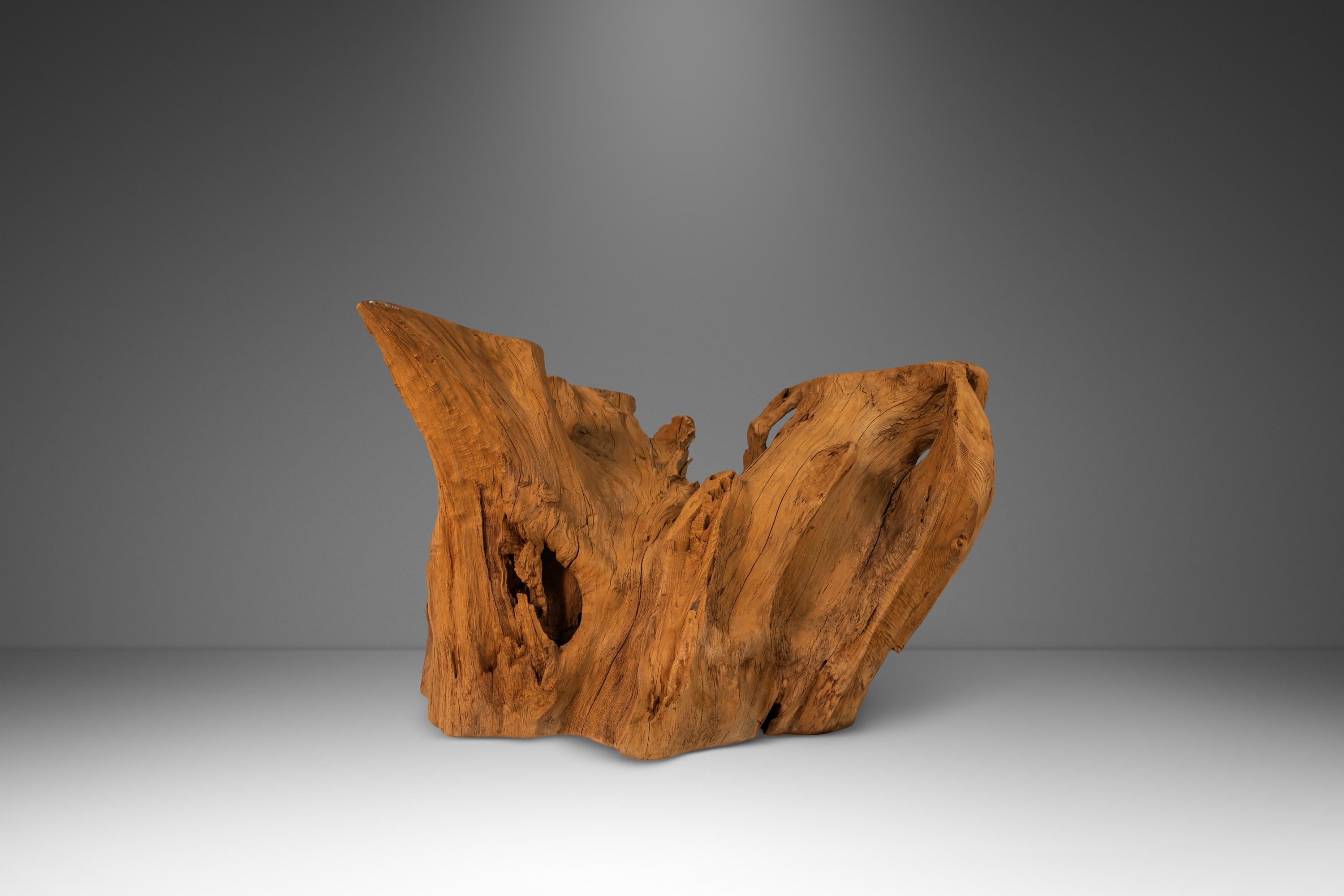 Organic Modern Substantial Glass-Top Dining Table With Cypress Tree Trunk Base 12