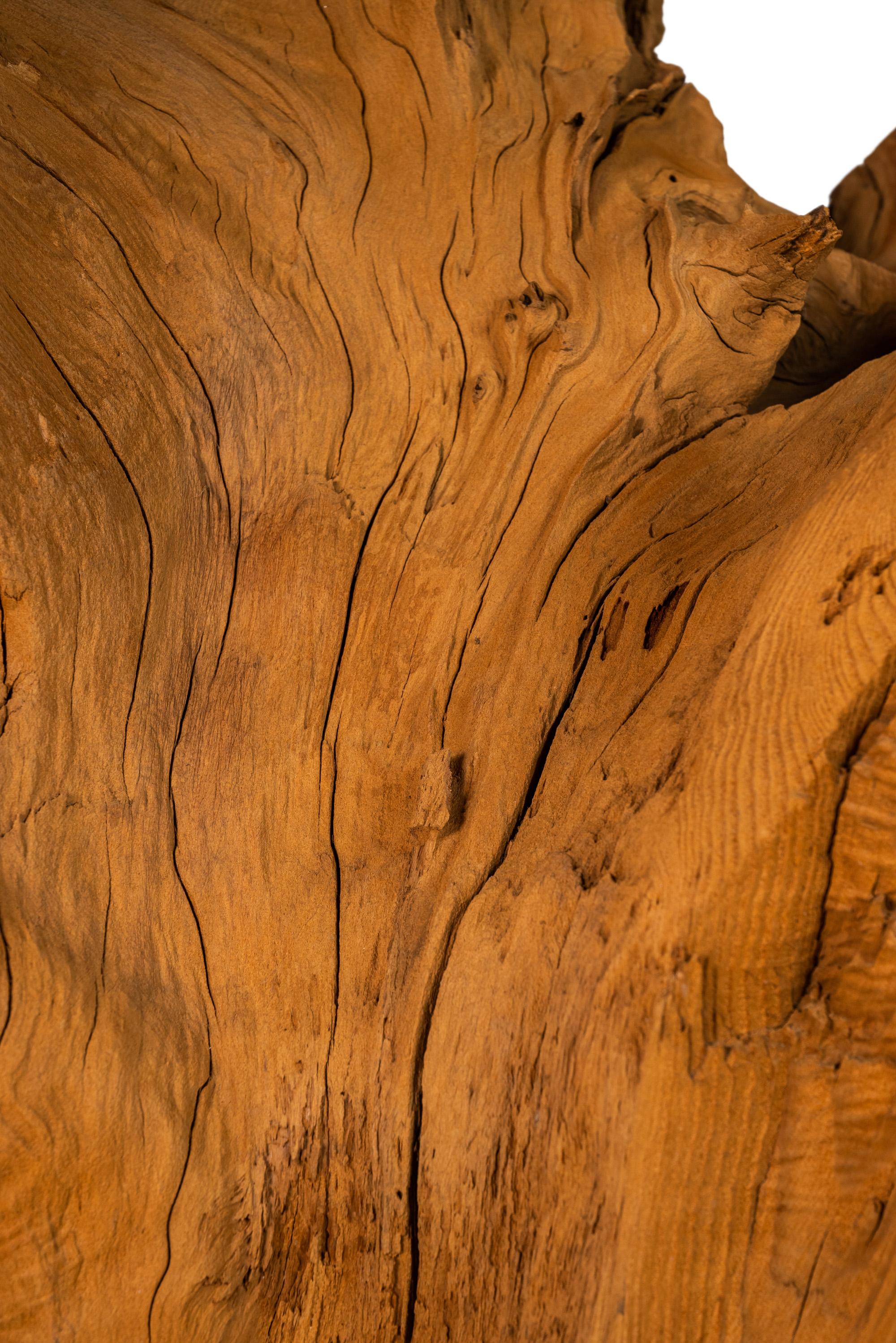 Organic Modern Substantial Glass-Top Dining Table With Cypress Tree Trunk Base 13