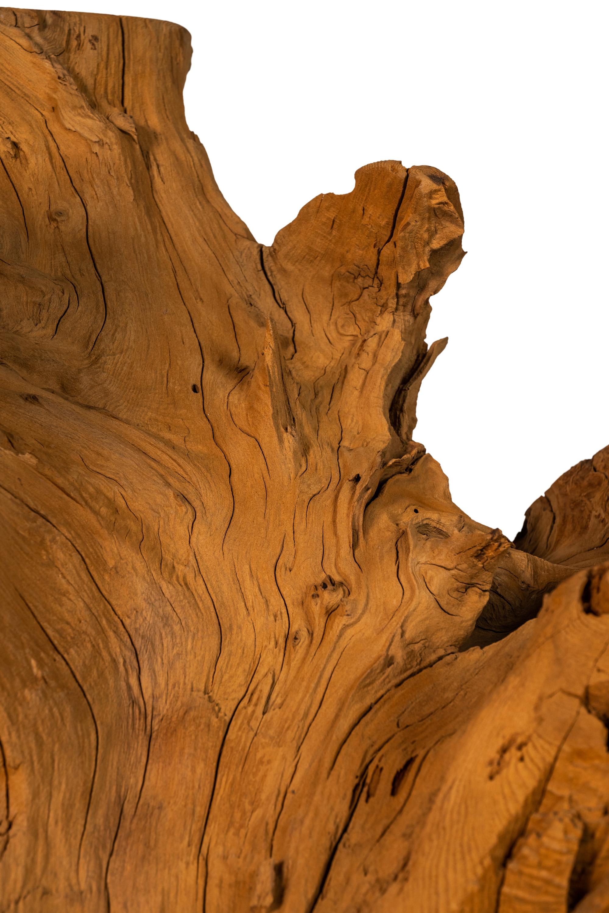 Organic Modern Substantial Glass-Top Dining Table With Cypress Tree Trunk Base 14