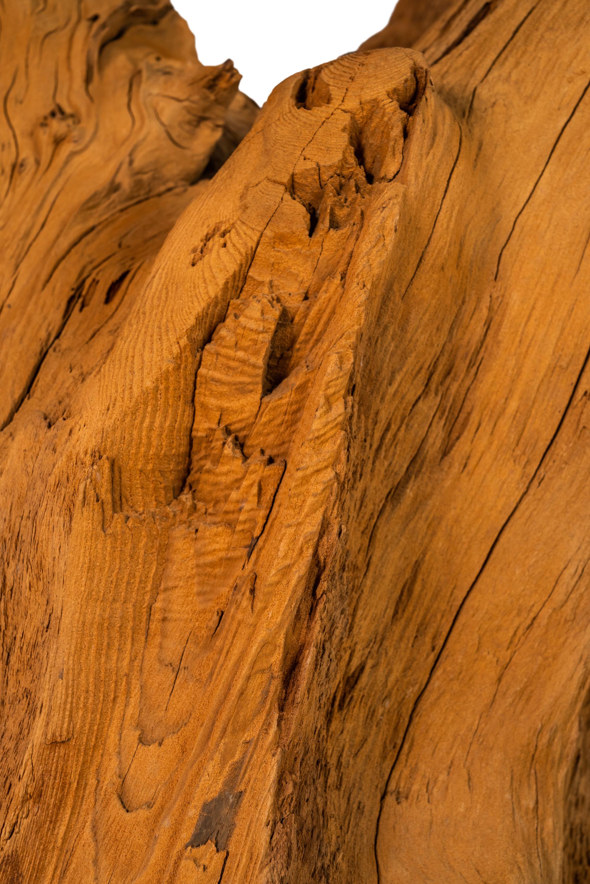 Organic Modern Substantial Glass-Top Dining Table With Cypress Tree Trunk Base 15