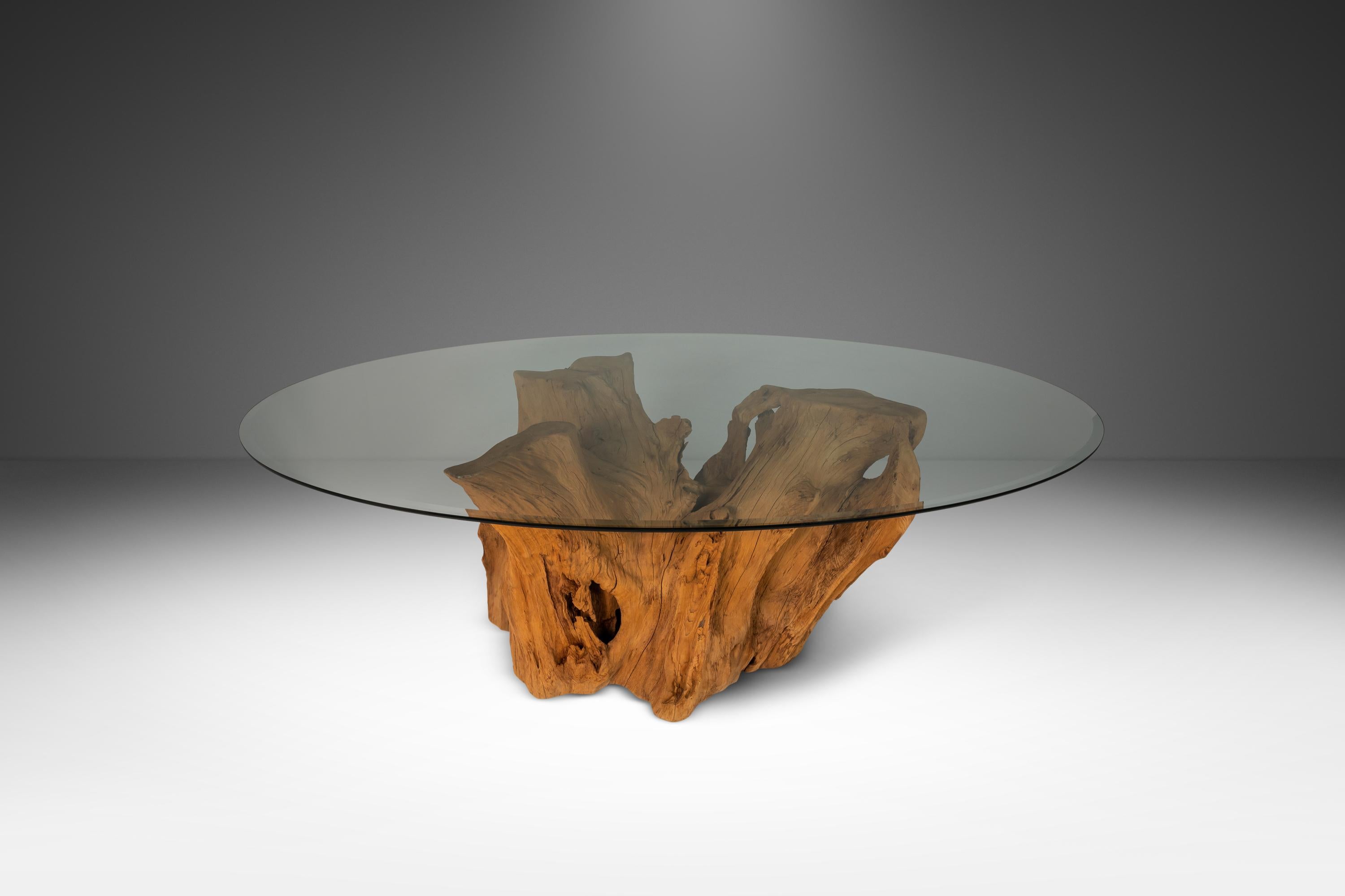 Organic Modern Substantial Glass-Top Dining Table With Cypress Tree Trunk Base 3