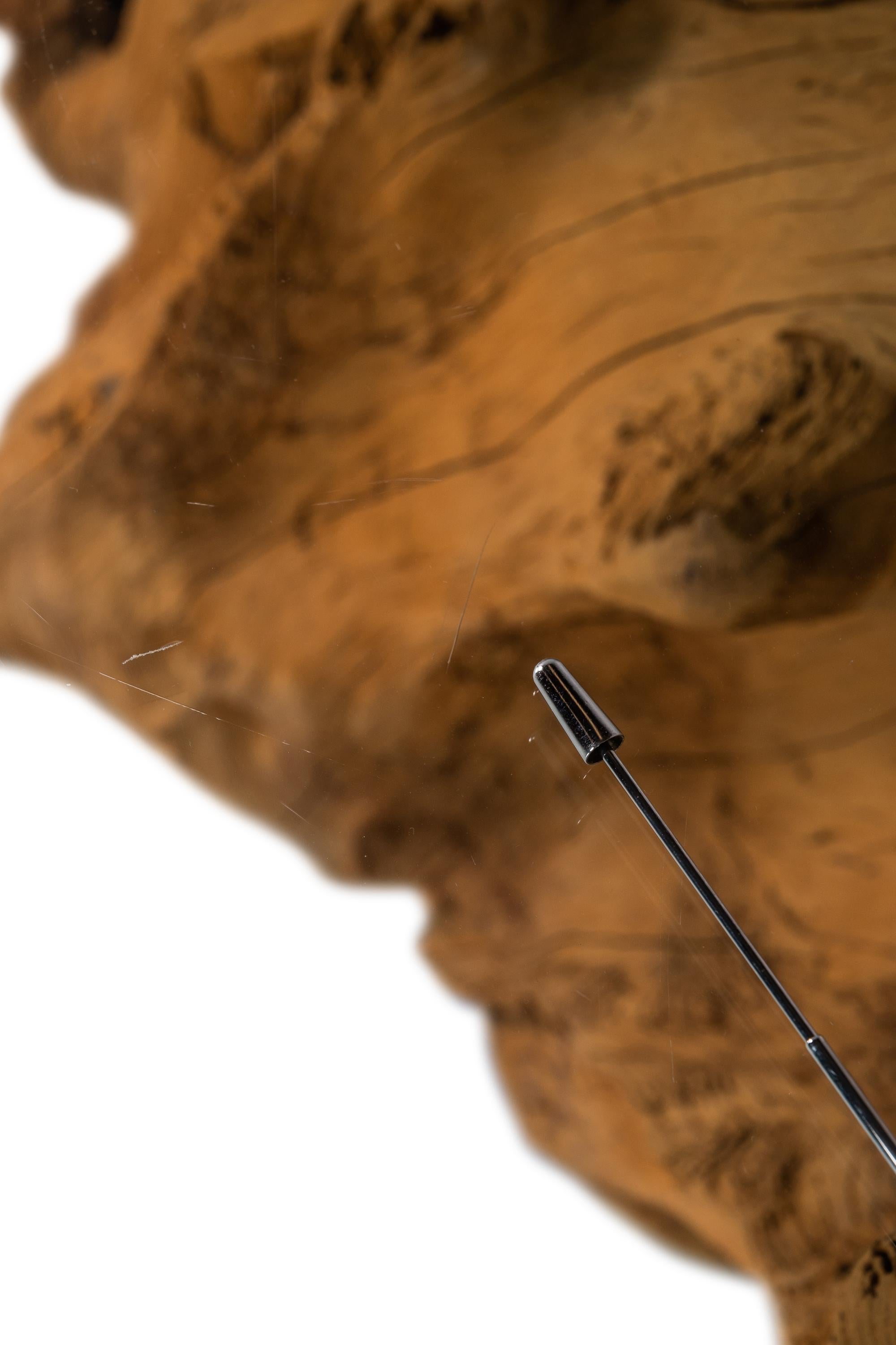 Organic Modern Substantial Glass-Top Dining Table With Cypress Tree Trunk Base 4