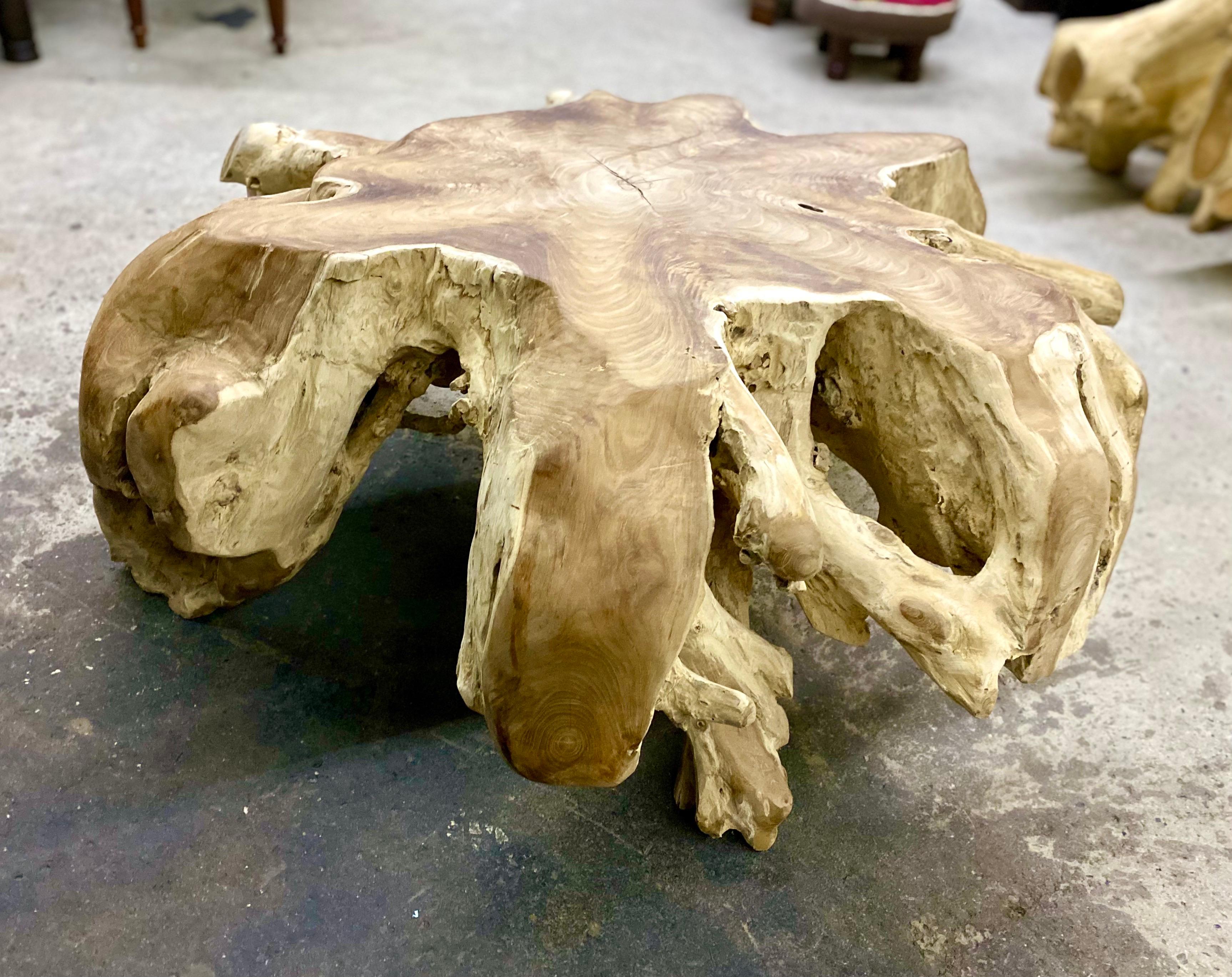 Organic Modern Teak Root Coffee Table or Sofa Table, 2021 In New Condition For Sale In Lichtenberg, AT