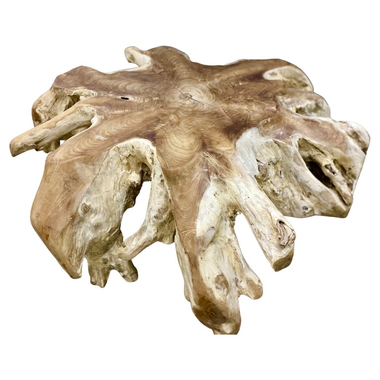 Organic Modern Teak Root Coffee Table or Sofa Table, 2021 For Sale at