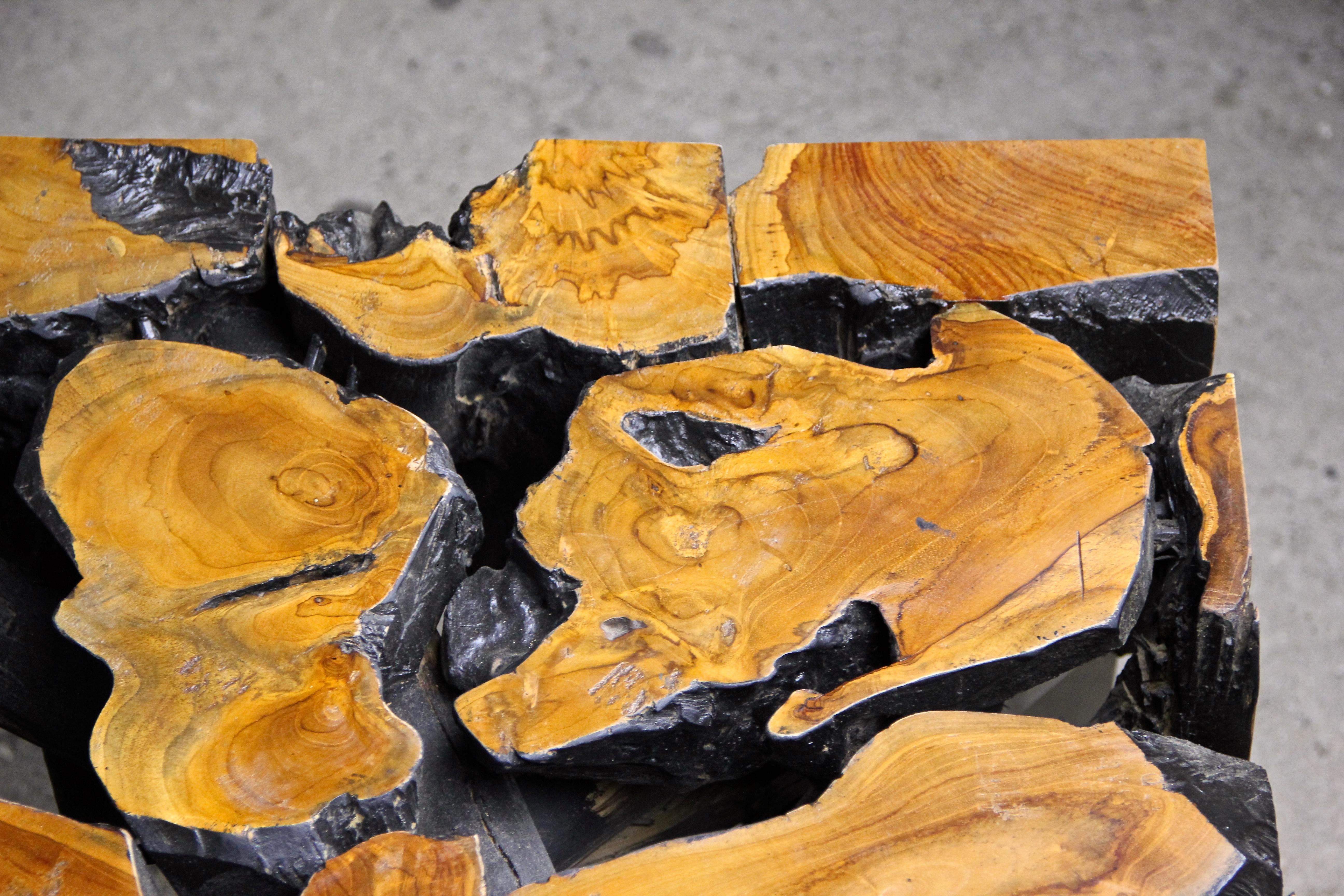 Organic Modern Teak Root Coffee Table 