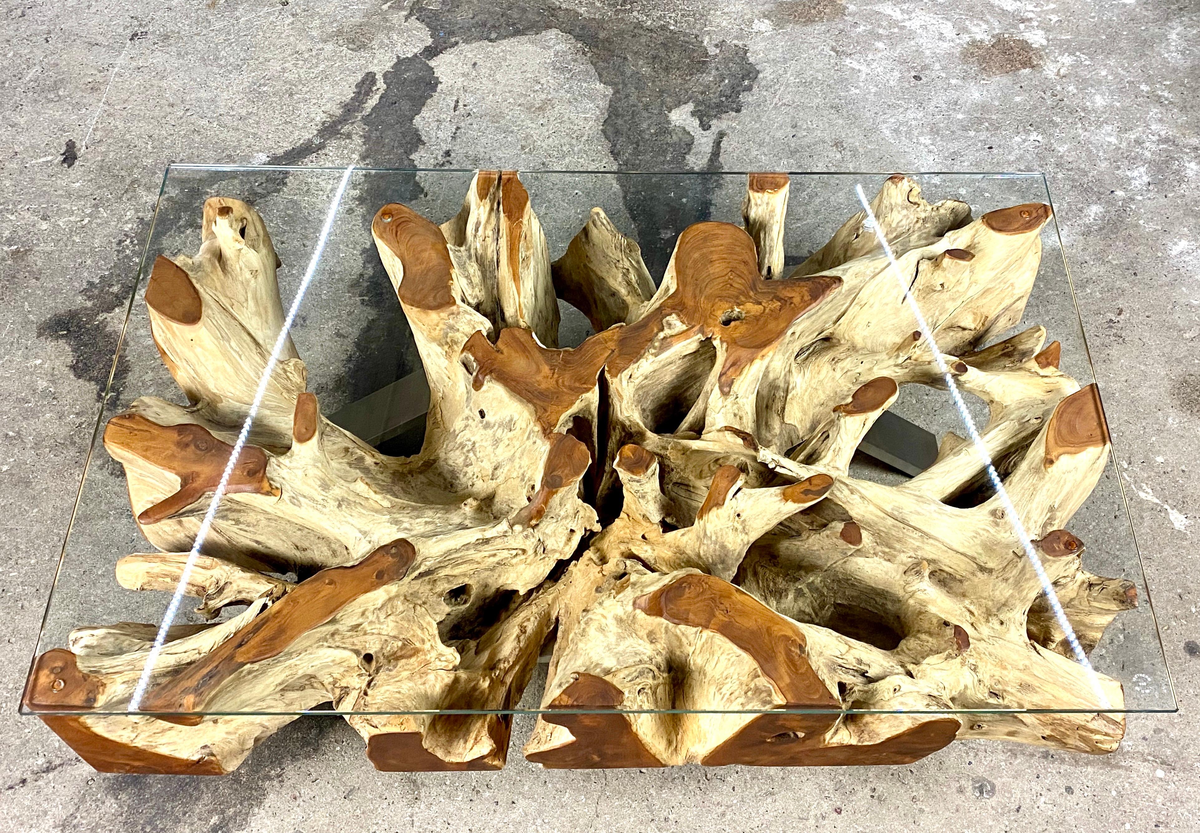 Extravagant organic modern teak root coffee/ sofa table with safety glass plate on stainless steel feet. Impressing with an amazing design, this striking organic design table was artfully processed from a massive teak wood root while the cut
