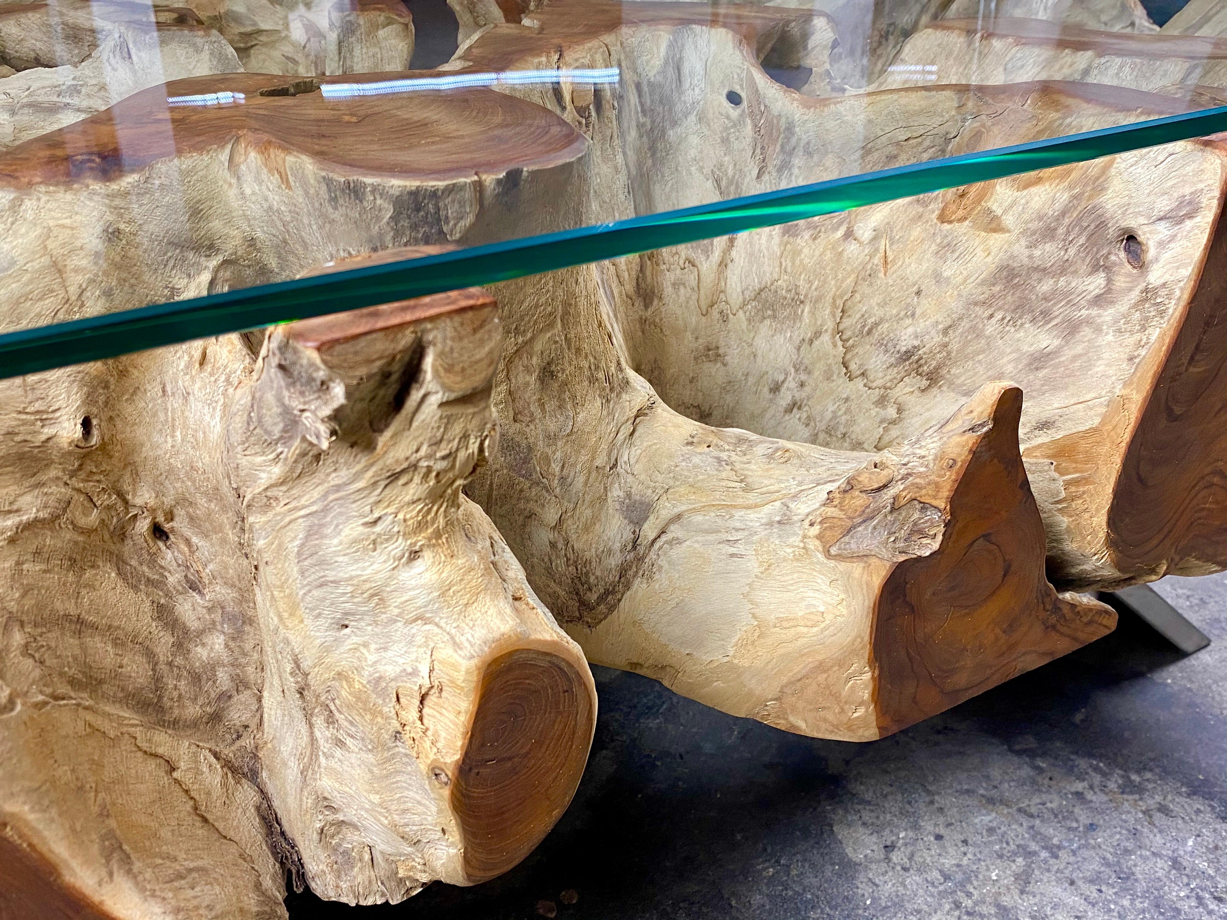 Organic Modern Teak Root Coffee Table with Safety Glass Plate 3