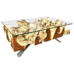 Organic Modern Teak Root Coffee Table with Safety Glass Plate