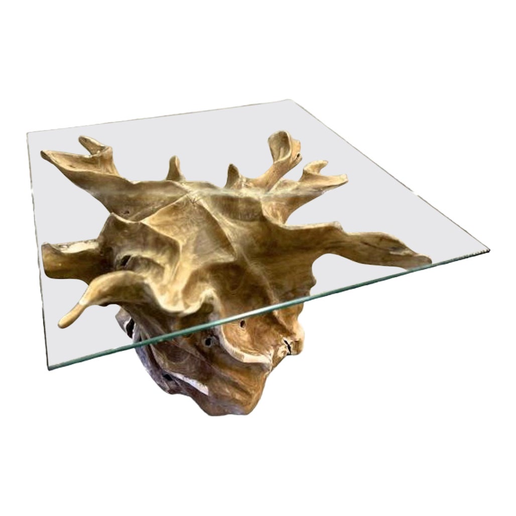Organic Modern Teak Root Coffee Table With Safety Glass Top, IDN 2025 For Sale