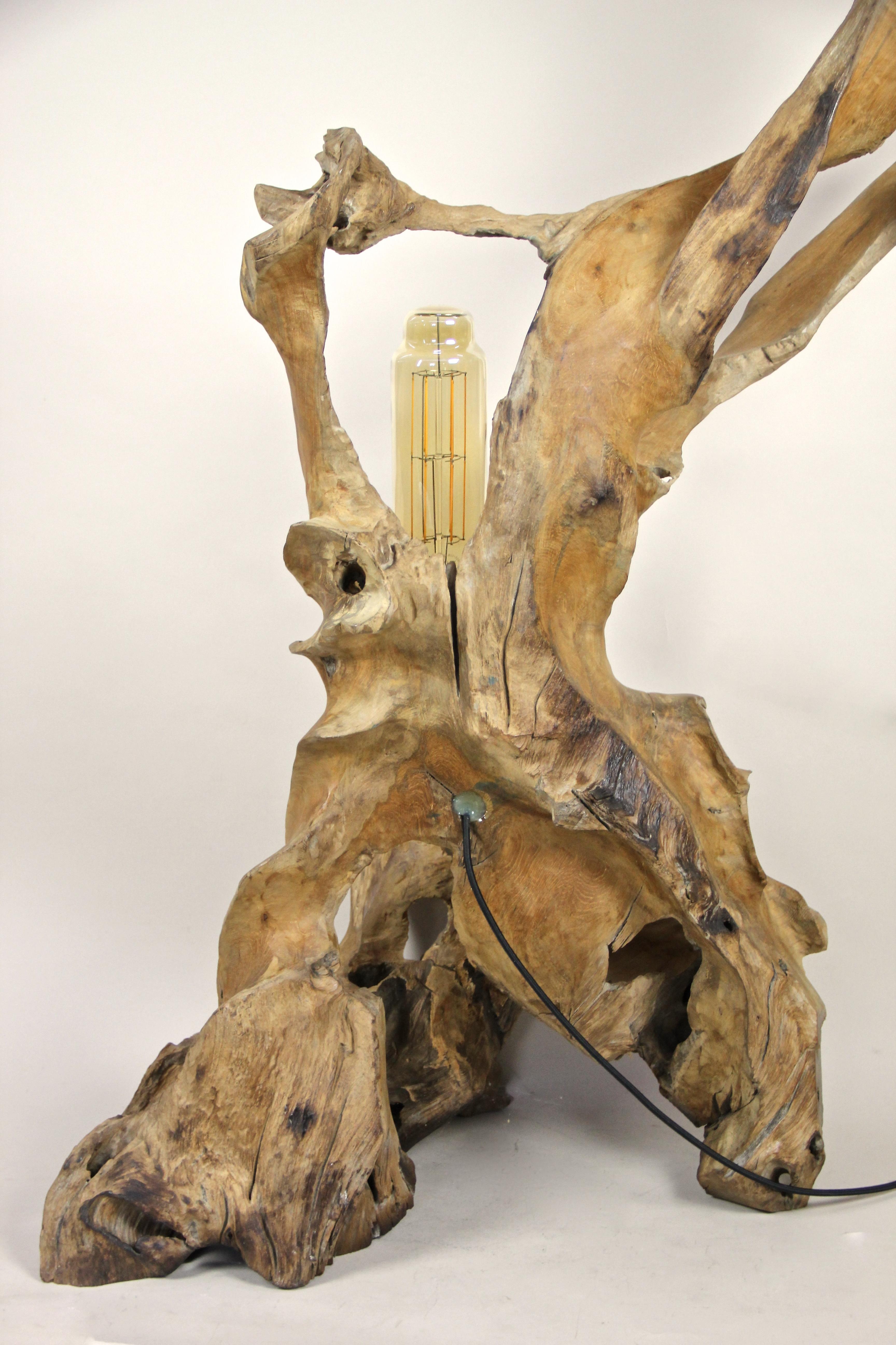 Organic Modern Teak Root Floor Lamp with Special LED Bulb 6