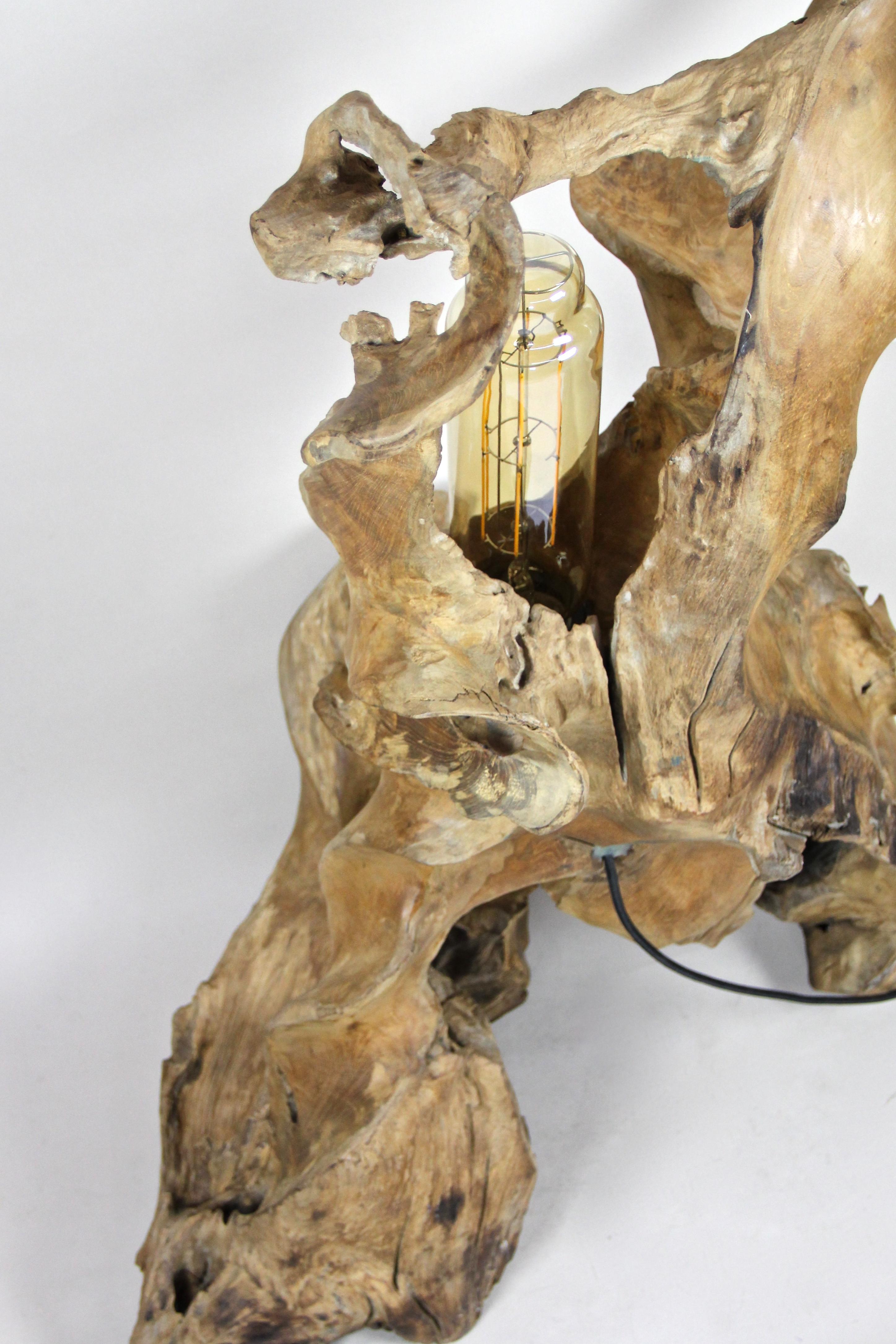 Organic Modern Teak Root Floor Lamp with Special LED Bulb 8