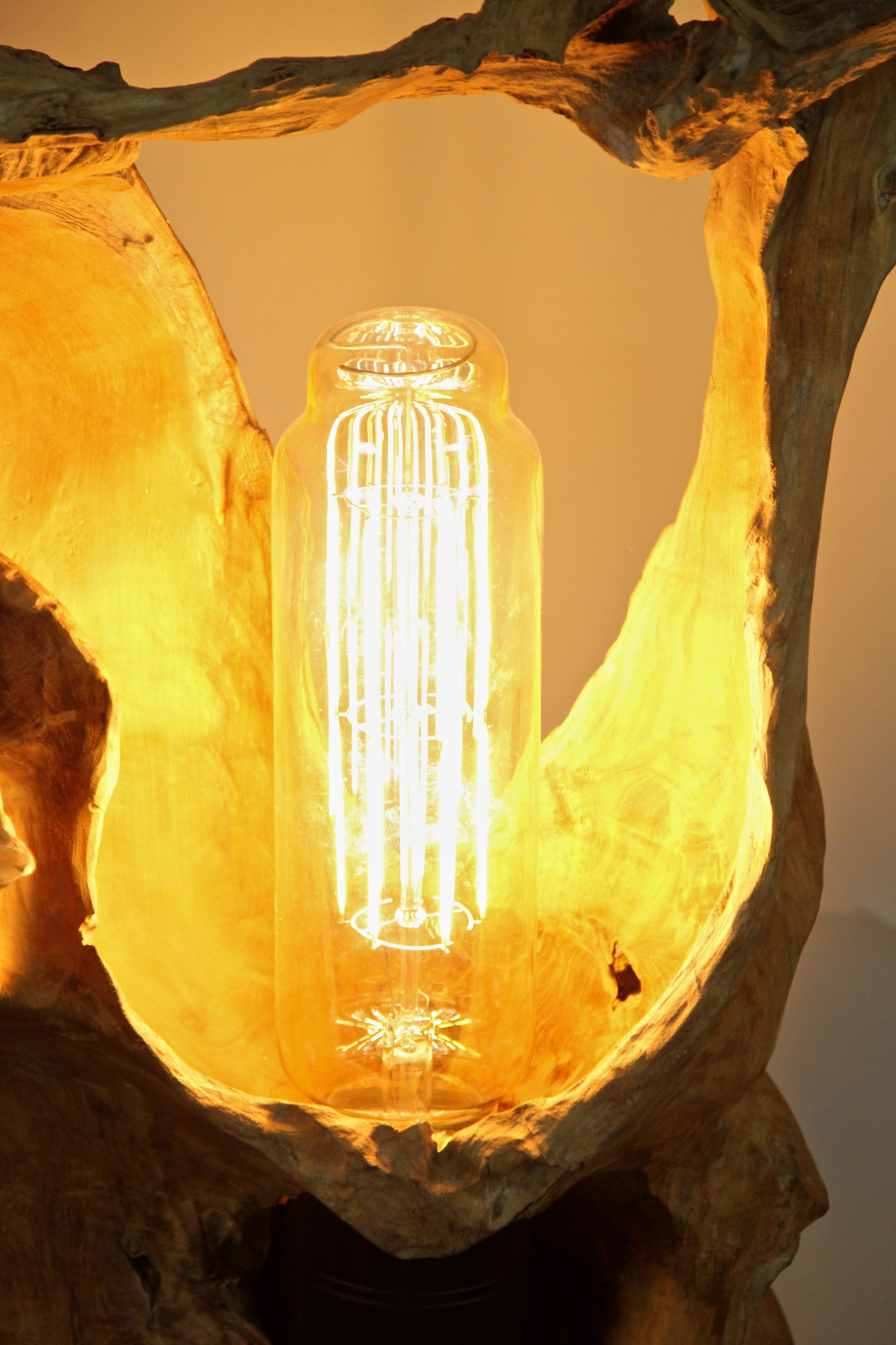 Indonesian Organic Modern Teak Root Floor Lamp with Special LED Bulb