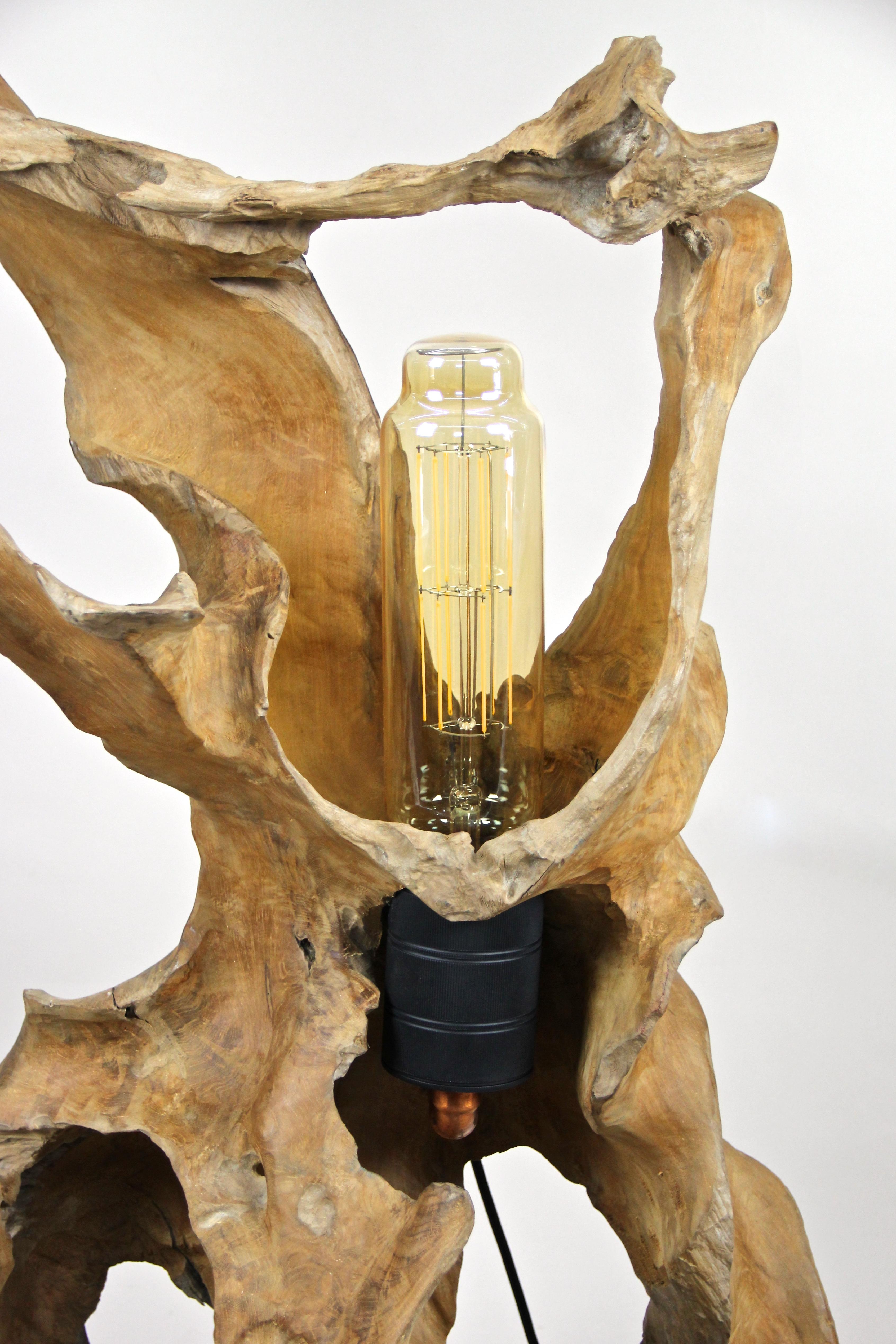 Organic Modern Teak Root Floor Lamp with Special LED Bulb In New Condition In Lichtenberg, AT