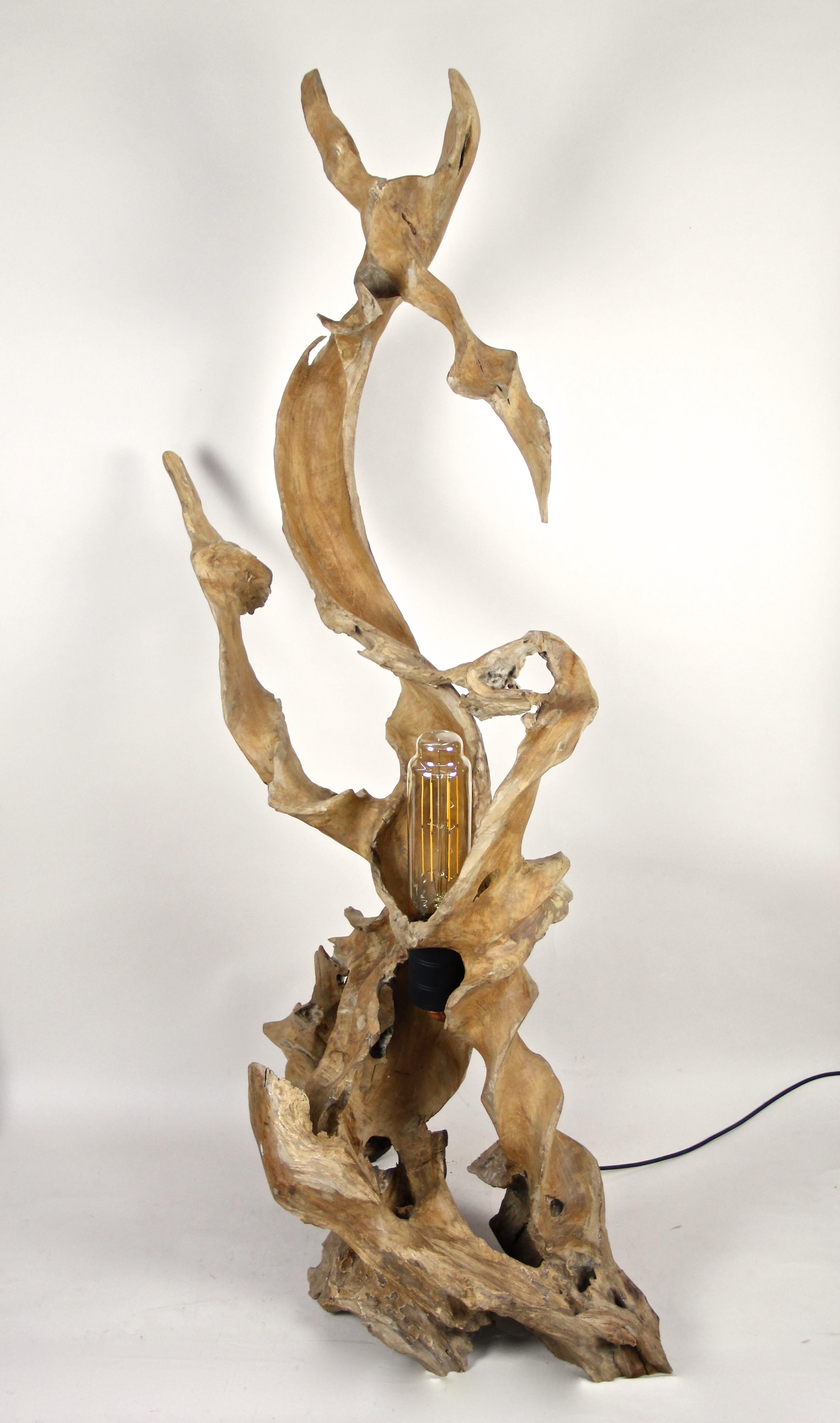 Organic Modern Teak Root Floor Lamp with Special LED Bulb 2
