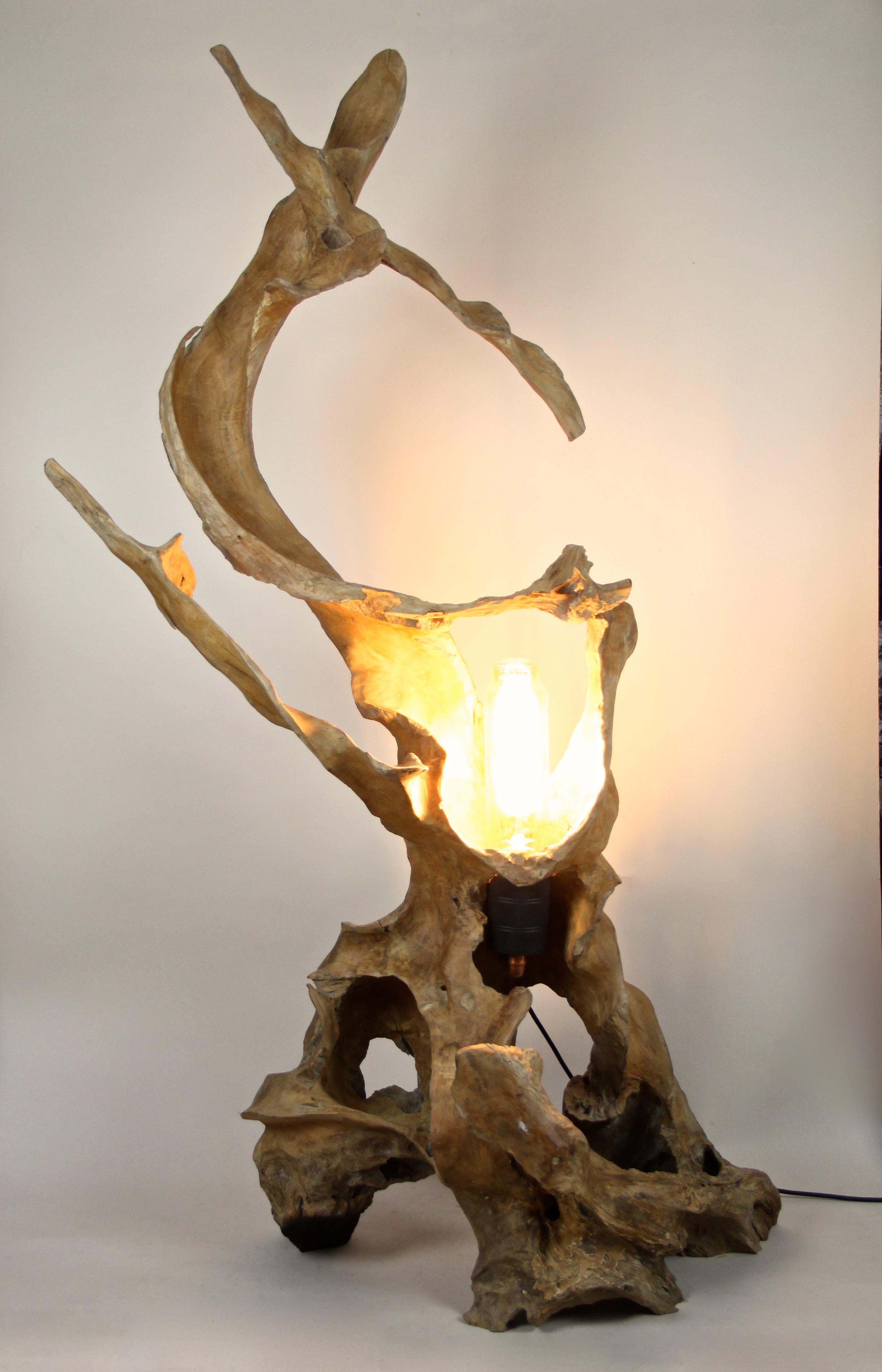 Organic Modern Teak Root Floor Lamp with Special LED Bulb 4