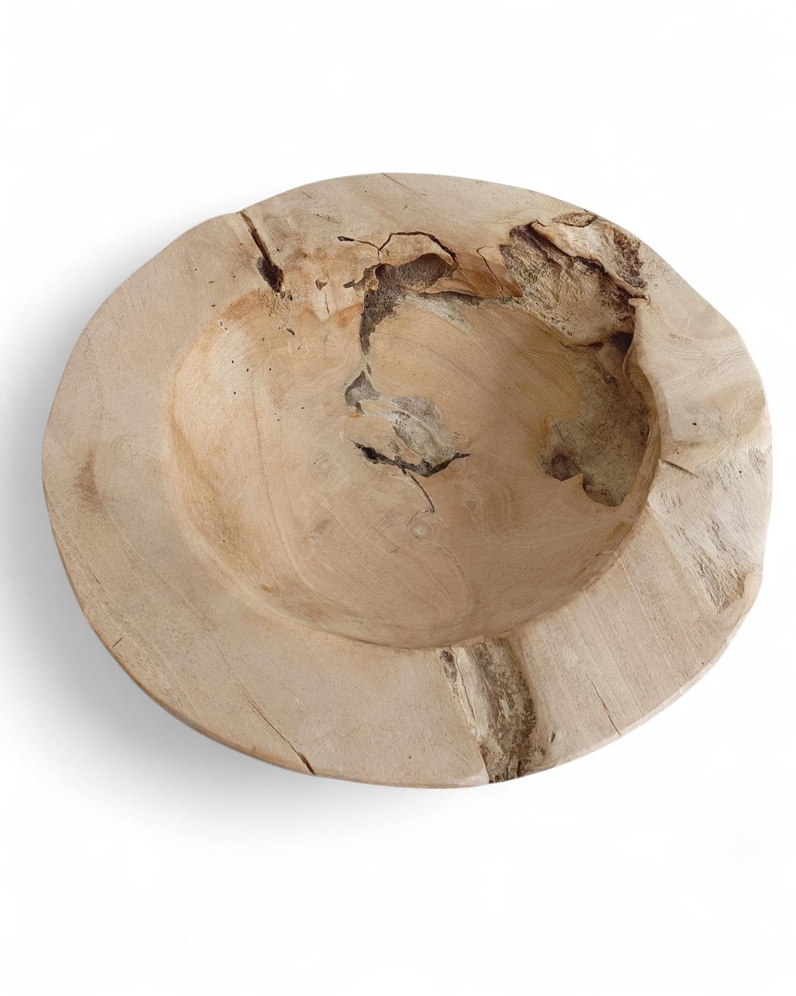 Organic Modern Teak Wood Large Bowl or Centerpiece Attr. to Andrianna Shamaris For Sale 7