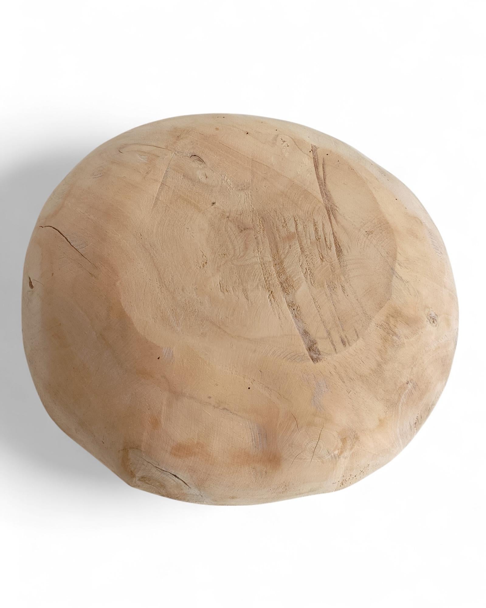 Organic Modern Teak Wood Large Bowl or Centerpiece Attr. to Andrianna Shamaris For Sale 10