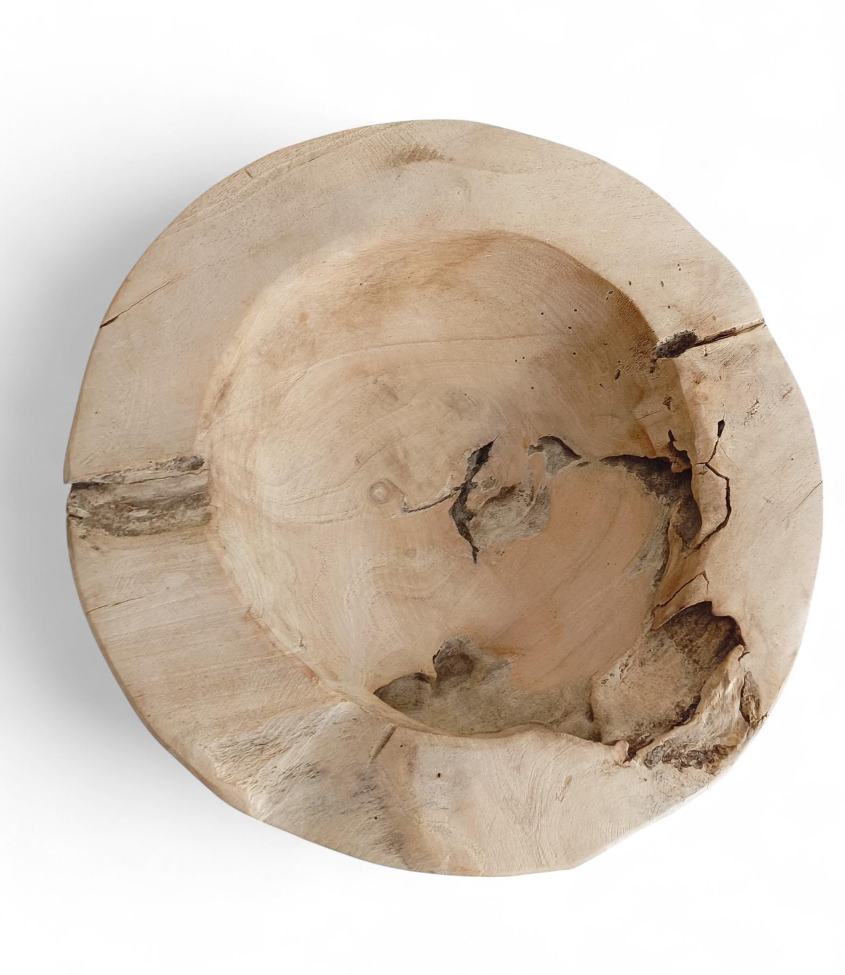 Hand-Carved Organic Modern Teak Wood Large Bowl or Centerpiece Attr. to Andrianna Shamaris For Sale
