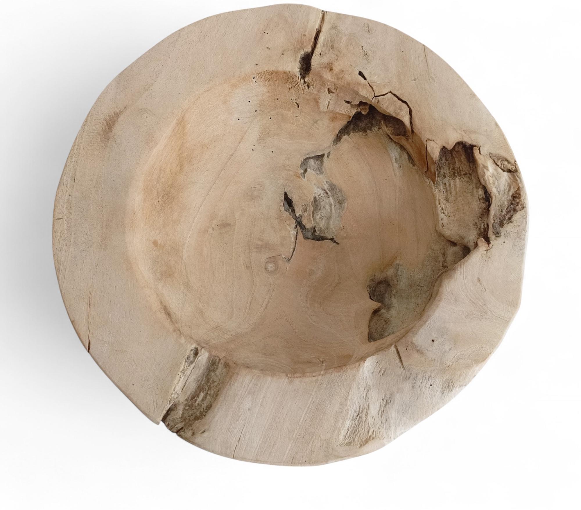 Organic Modern Teak Wood Large Bowl or Centerpiece Attr. to Andrianna Shamaris For Sale 2