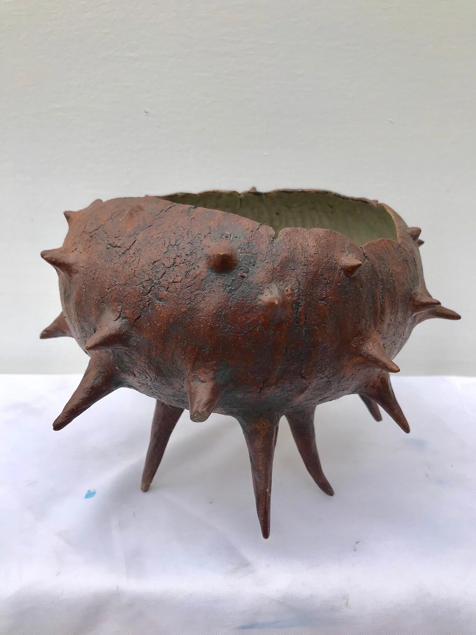 Organic Modern Thorny Pottery Bowl 2