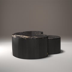 Organic Modern Travertine & Wood “Curves” Coffee Table Set, Parisii Collection