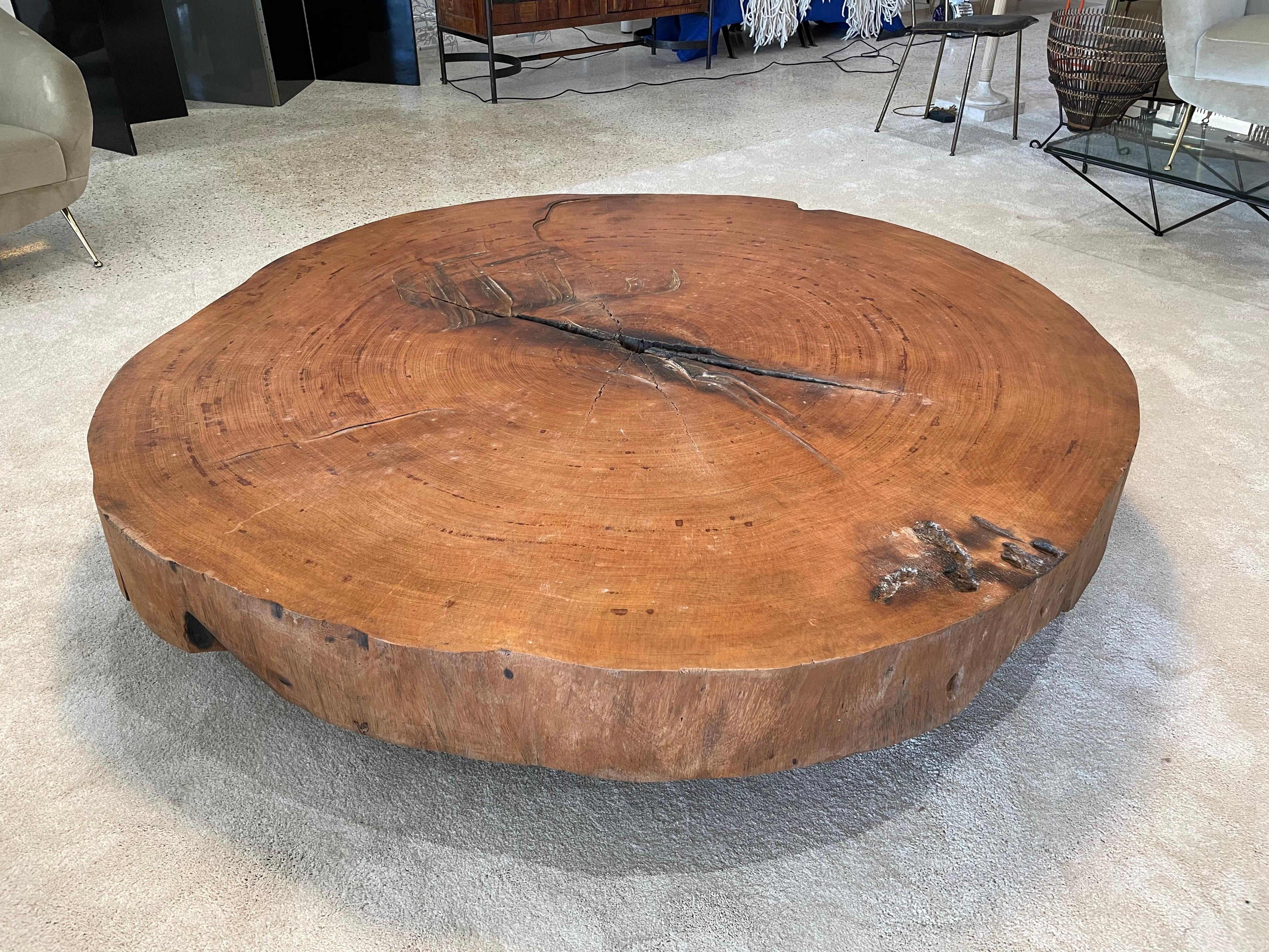Organic Modern Tree Trunk Slice Oversized Coffee Table in Peroba Wood 3