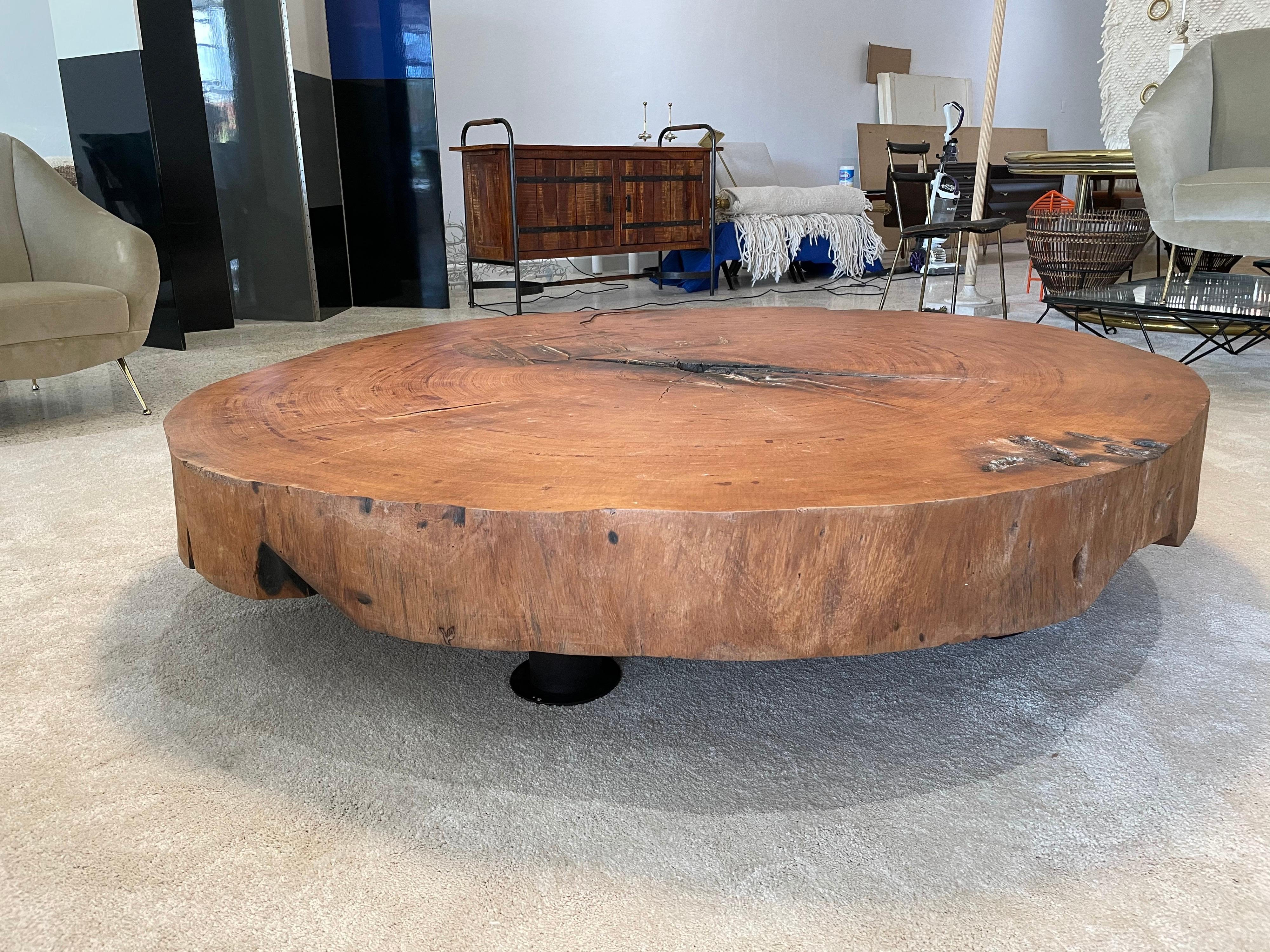 Organic Modern Tree Trunk Slice Oversized Coffee Table in Peroba Wood 5