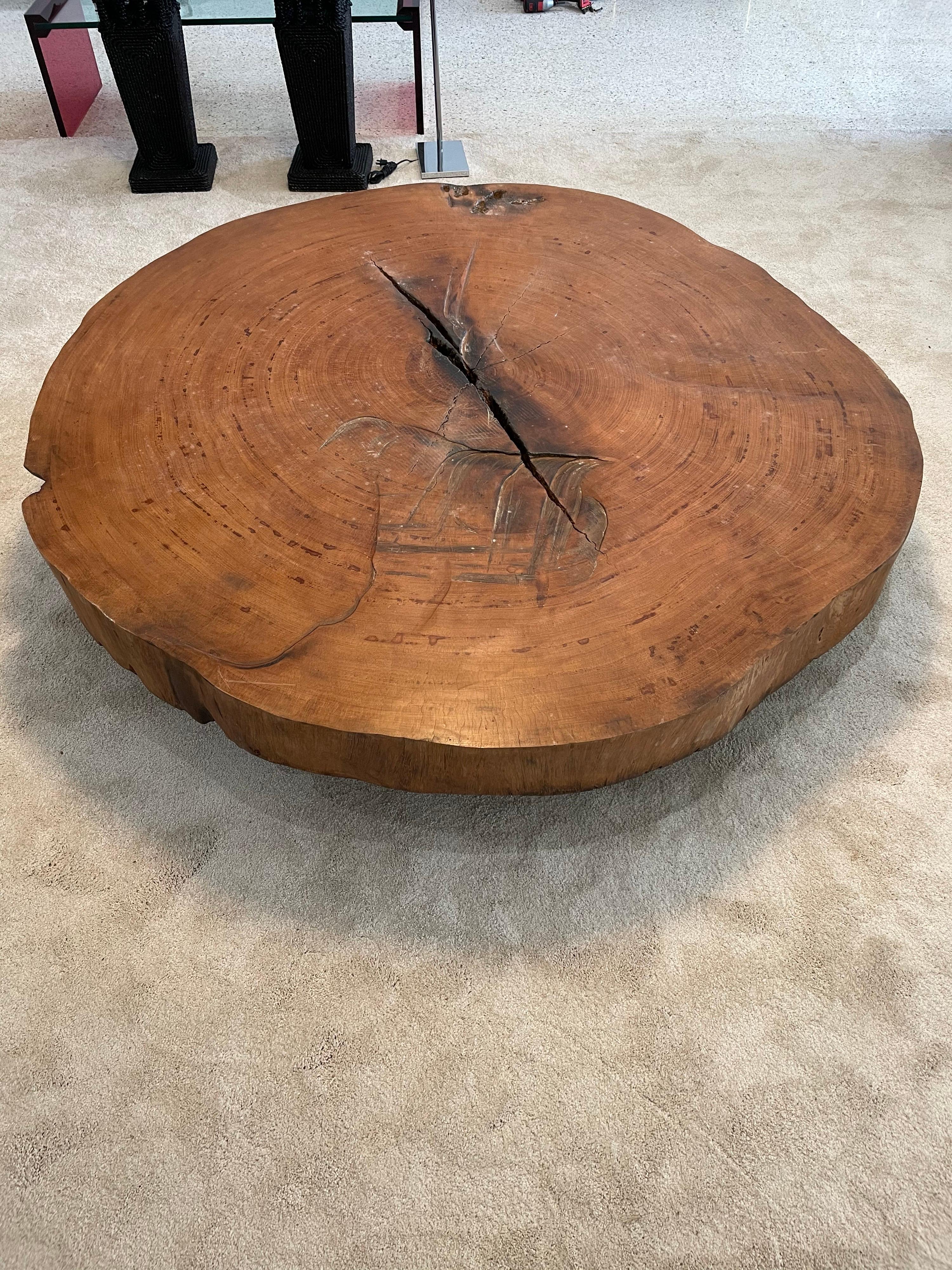 This live edge Brazilian tree trunk in peroba wood is over 5 feet in diameter with 5 iron cylindrical base legs. This slice of a tree is 7 inches thick. Very modern and yet very organic!
