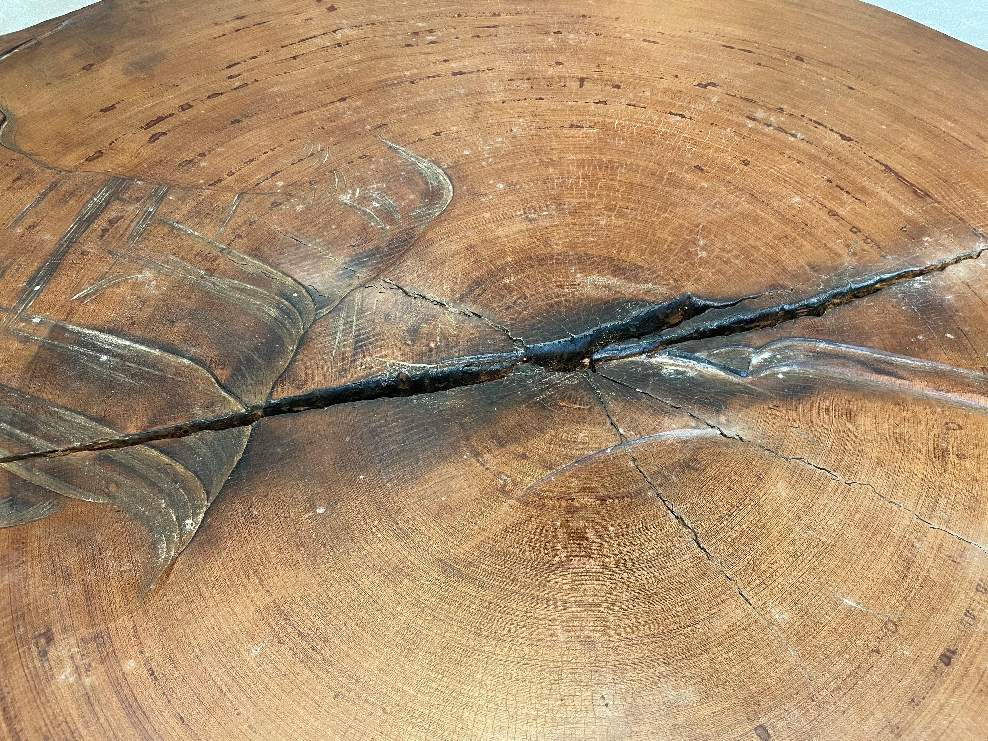 20th Century Organic Modern Tree Trunk Slice Oversized Coffee Table in Peroba Wood