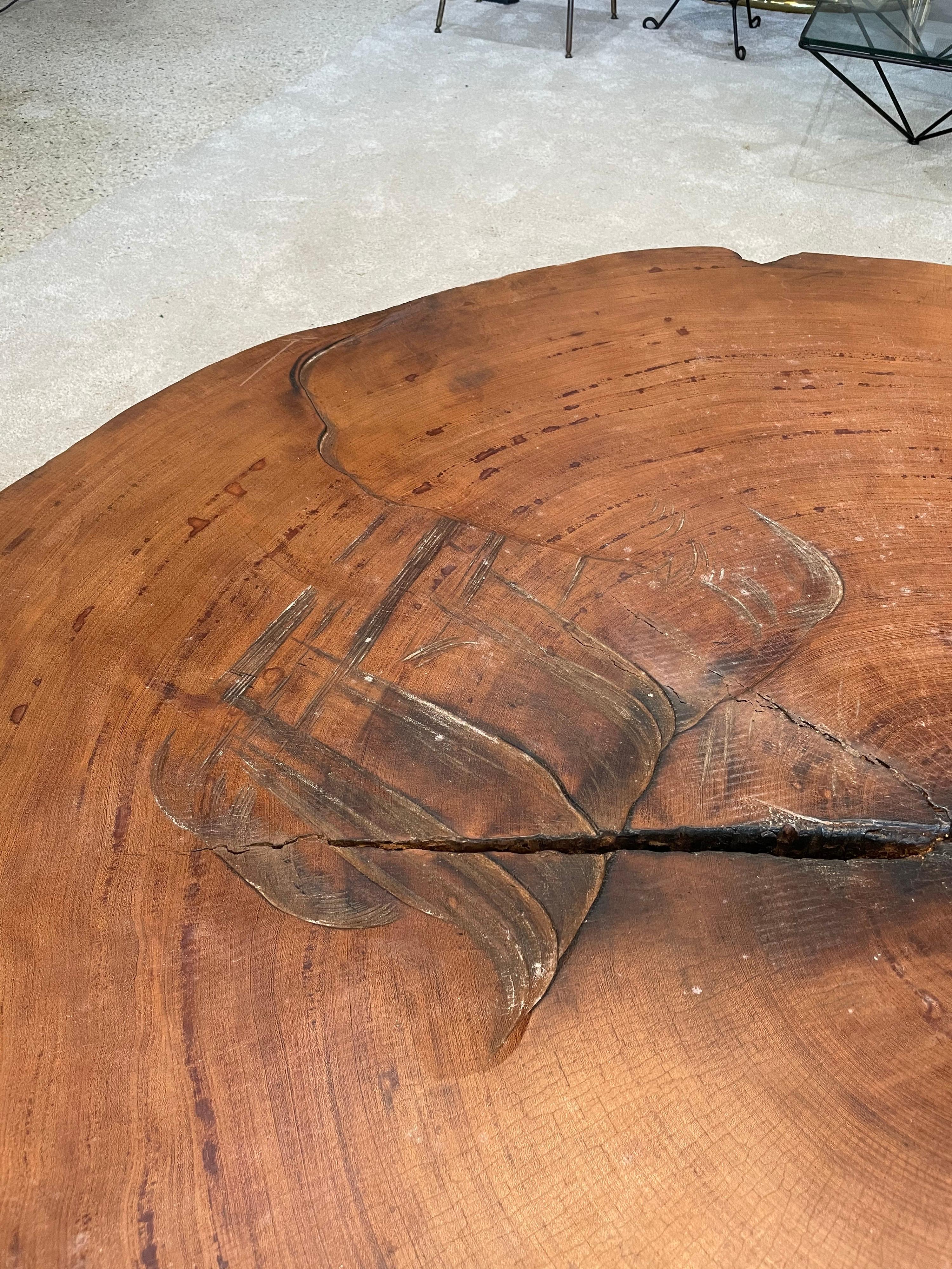 Organic Modern Tree Trunk Slice Oversized Coffee Table in Peroba Wood 1