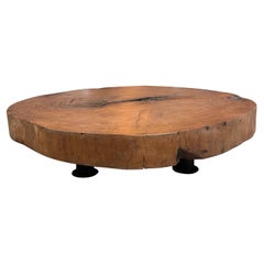 Organic Modern Tree Trunk Slice Oversized Coffee Table in Peroba Wood