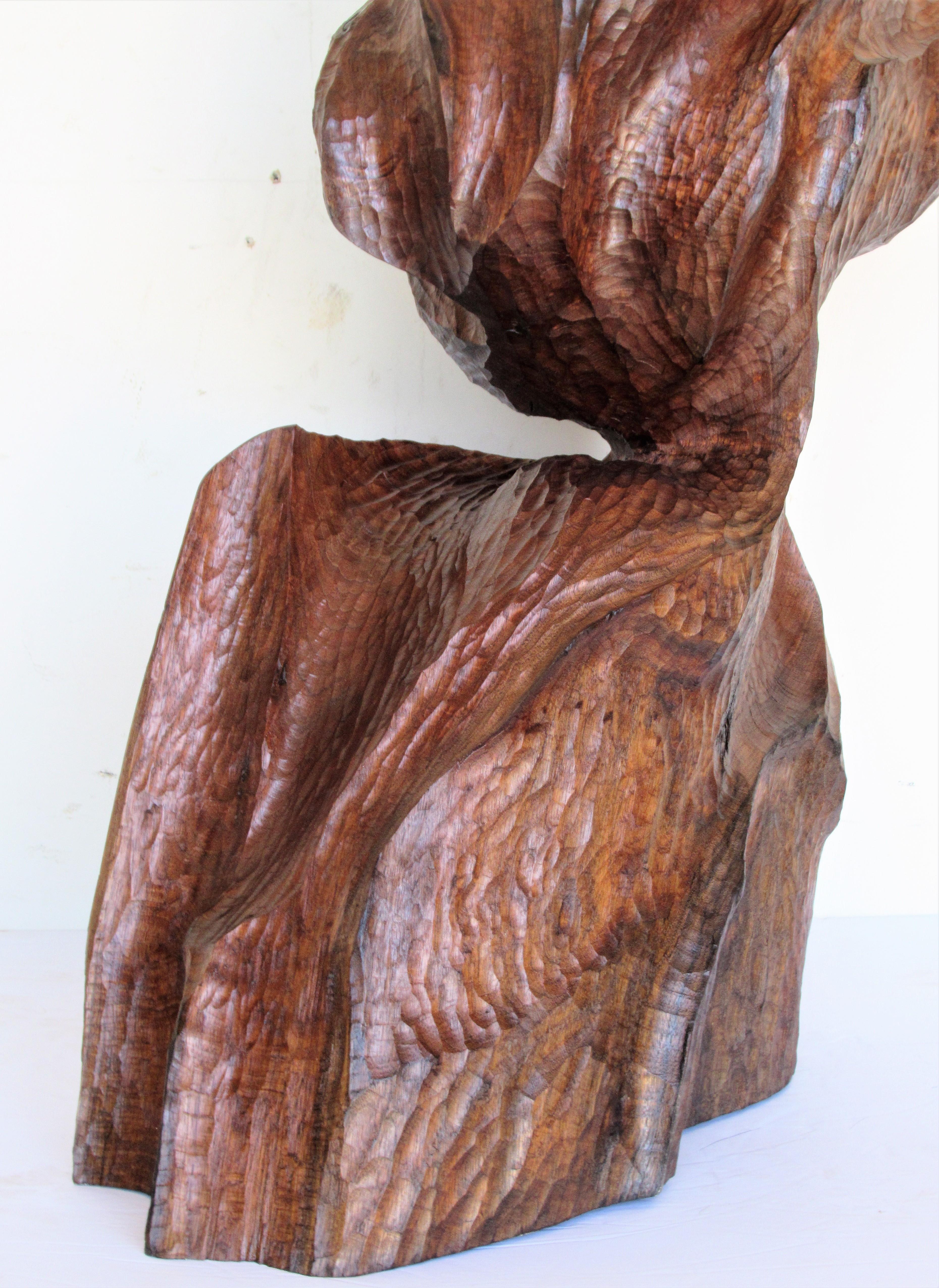 Organic Modern Walnut Sculpture  6