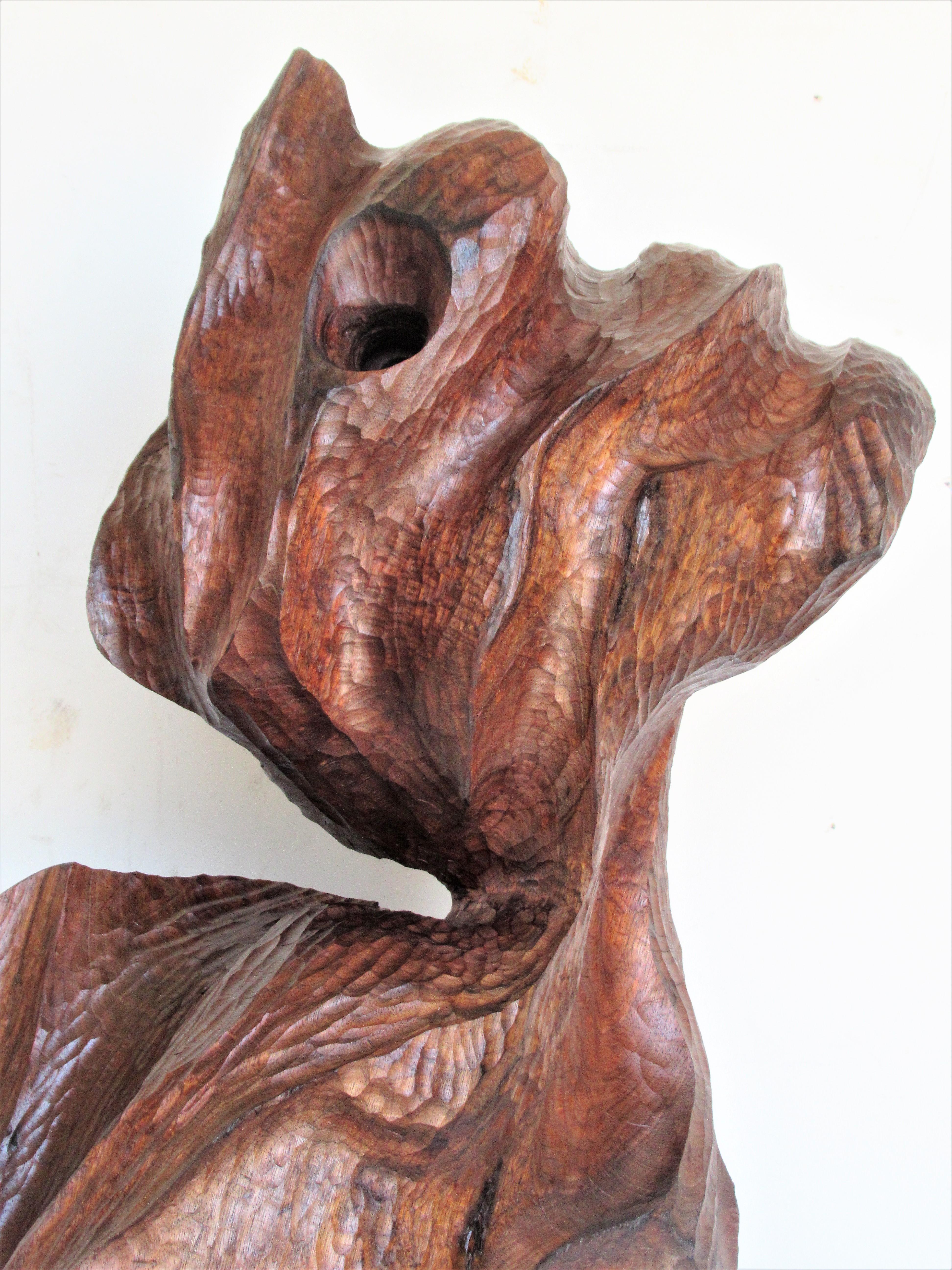 Organic Modern Walnut Sculpture  12