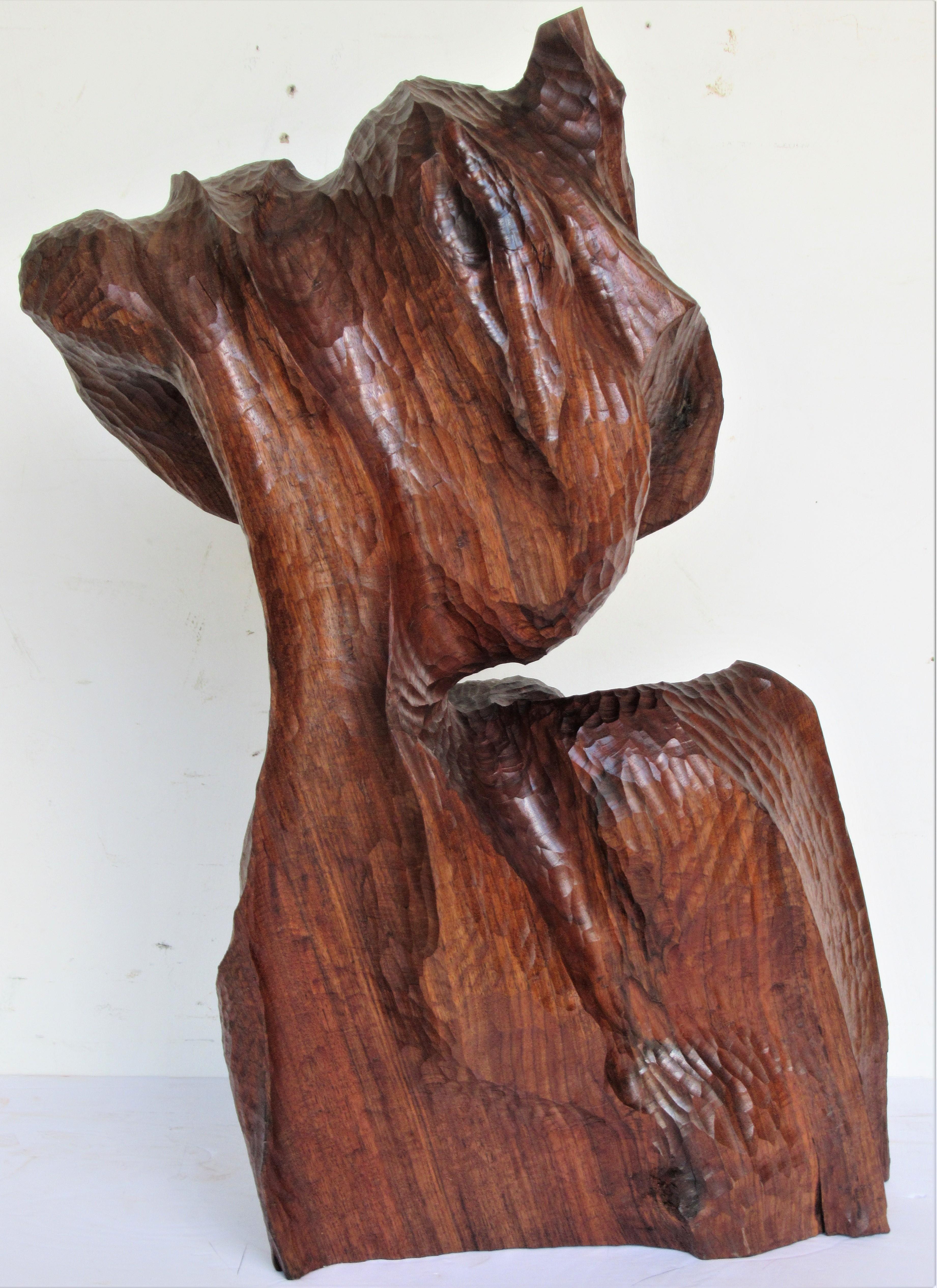 Organic Modern Walnut Sculpture  1