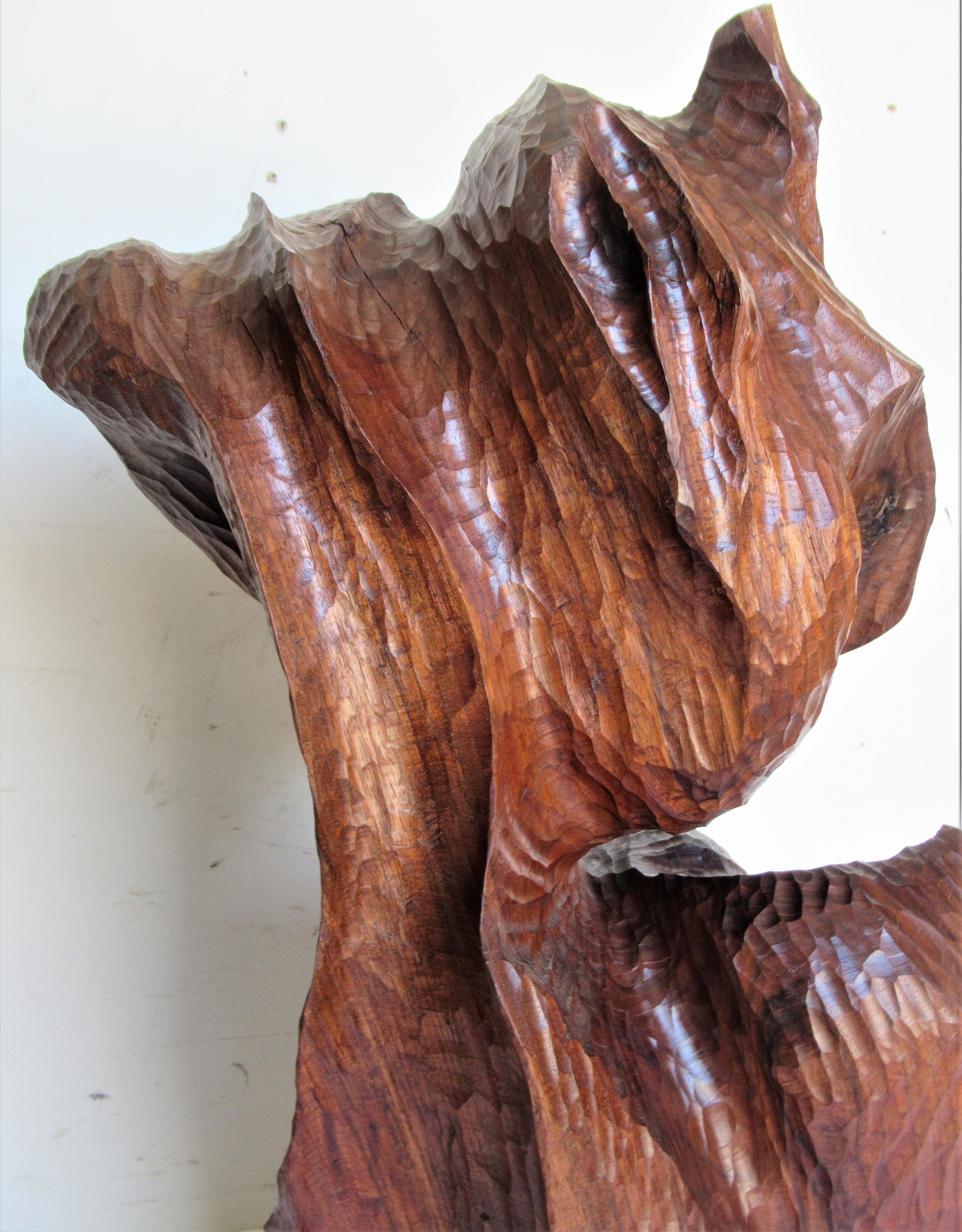 Organic Modern Walnut Sculpture  2