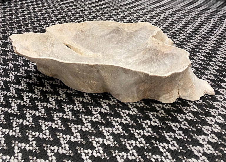 Organic Modern White Washed Teak Bowl with Live Edge, Indonesia For Sale 7
