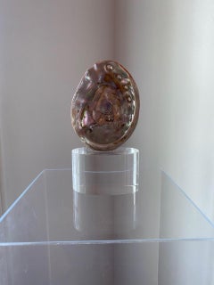 Sculpture sculpturale organique moderniste en forme de coquille de palourde sur socle en lucite
