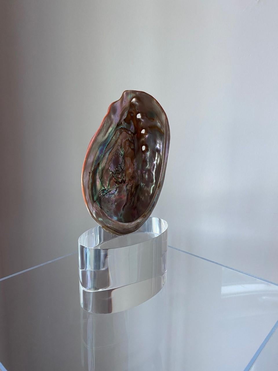 Hollywood Regency Organic Modernist Sculptural Clam Shell on Lucite Base Sculpture For Sale