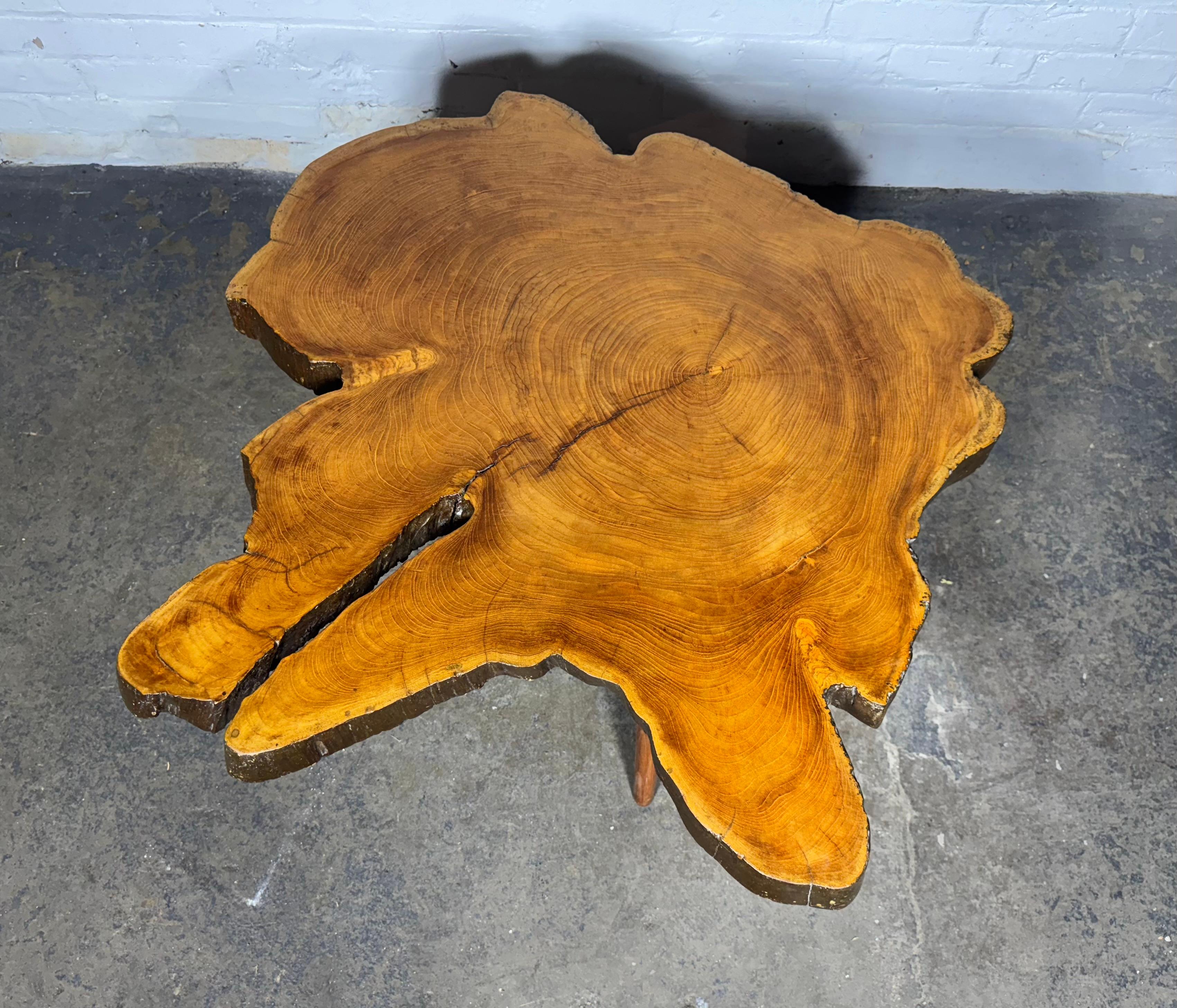 American Organic Modernist Tree Trunk Side Coffee Table, style Aubock 1950s