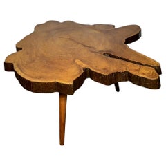 Organic Modernist Tree Trunk Side Coffee Table, style Aubock 1950s