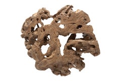 Organic Monumental Root Wood Coffee Table