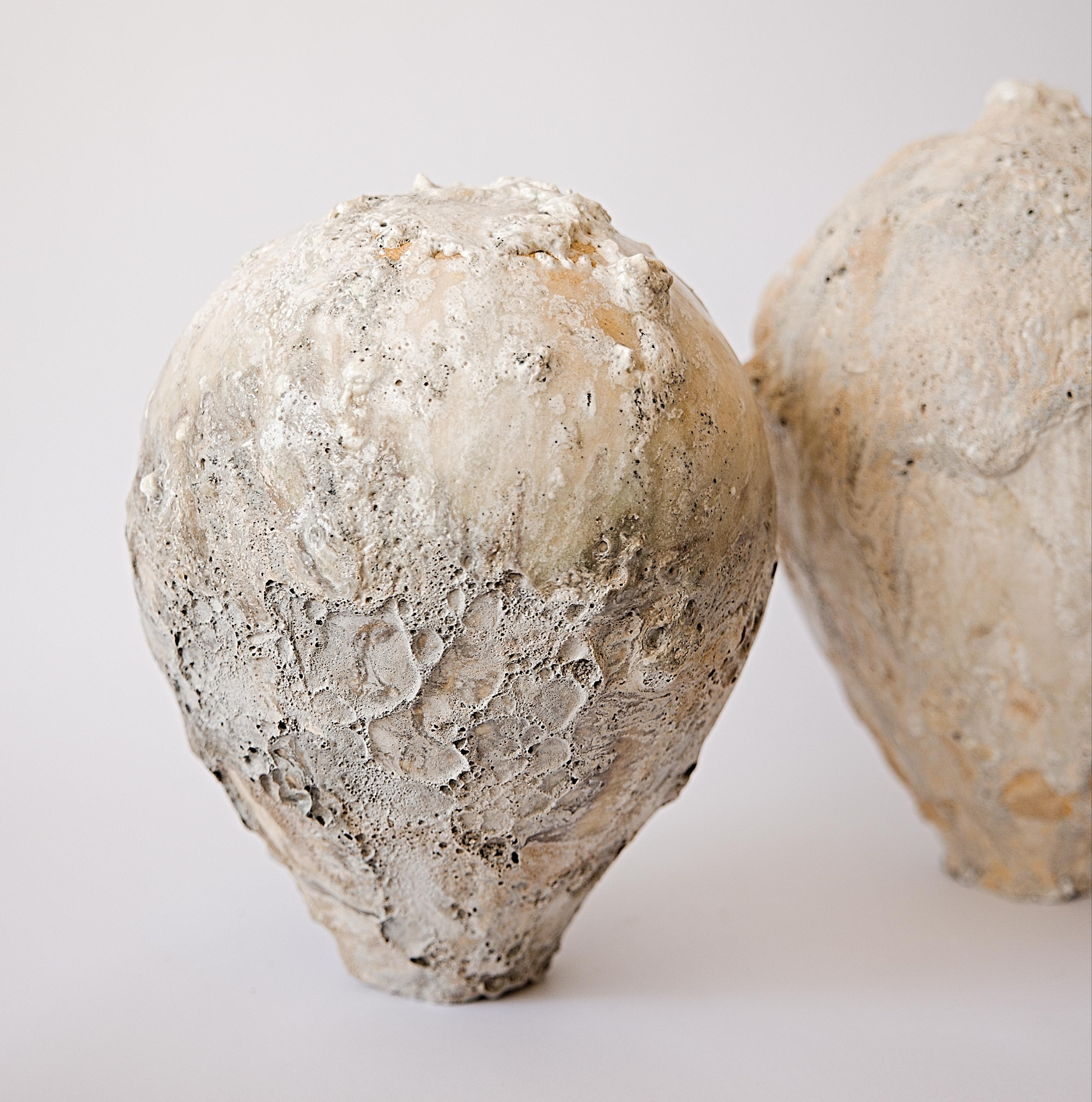 Organic Natural Moon Vessel III For Sale 4
