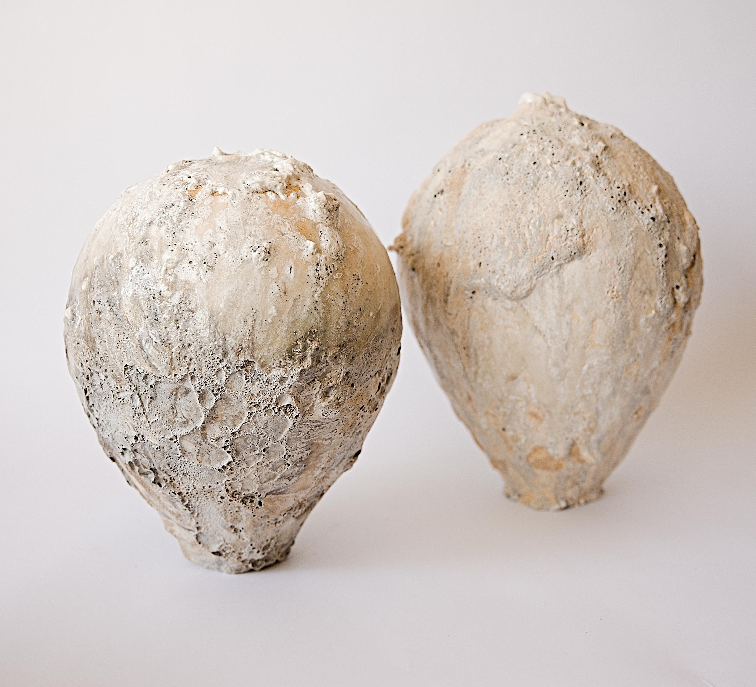Organic Natural Moon Vessel III For Sale 5