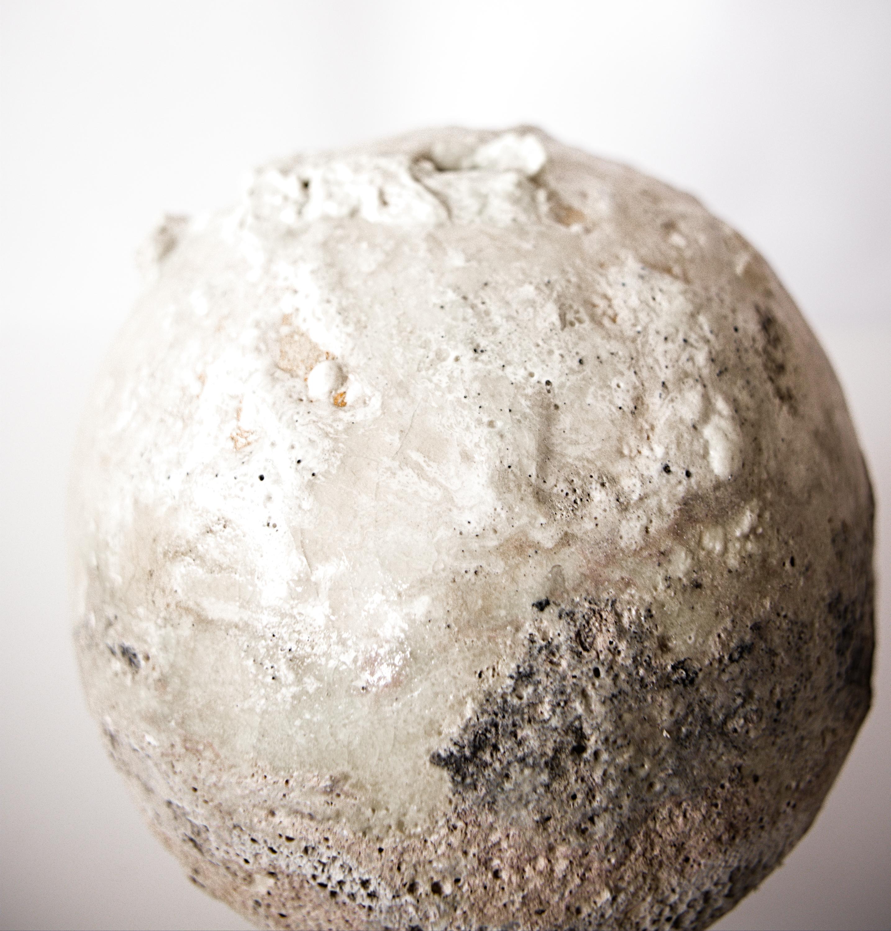 Organic Natural Moon Vessel III For Sale 10