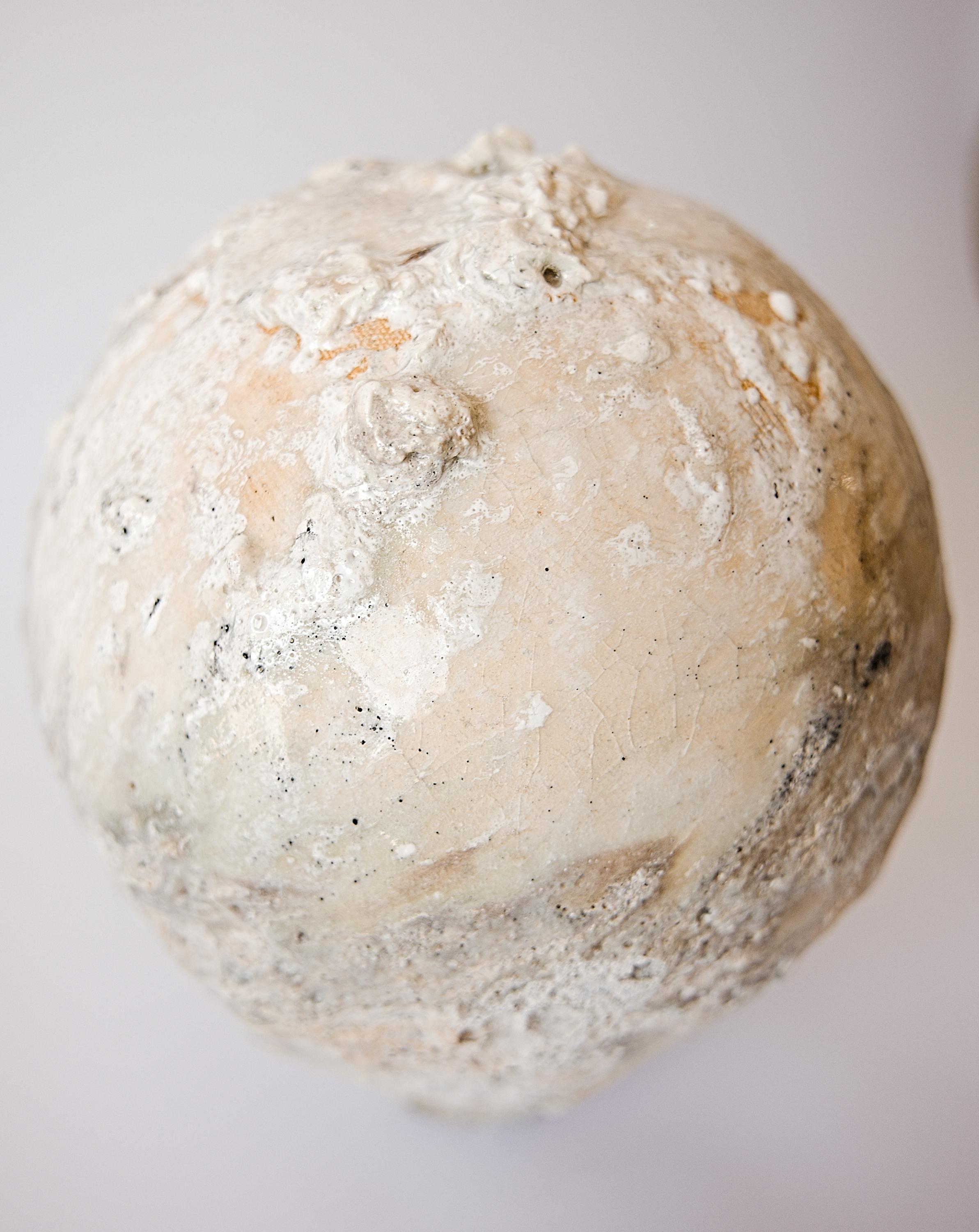 Organic Natural Moon Vessel III For Sale 1