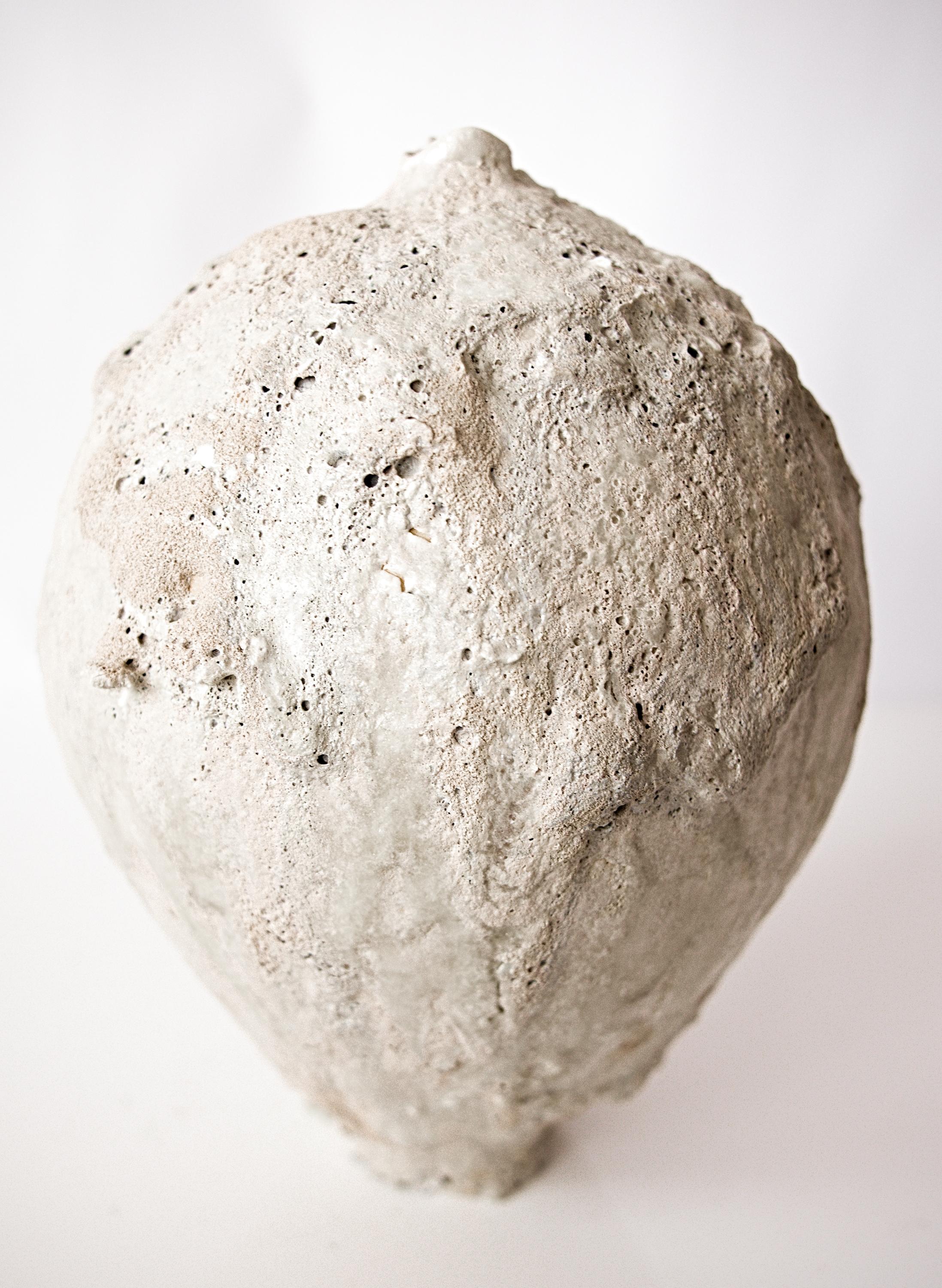 Organic Natural Moon Vessel IV For Sale 5