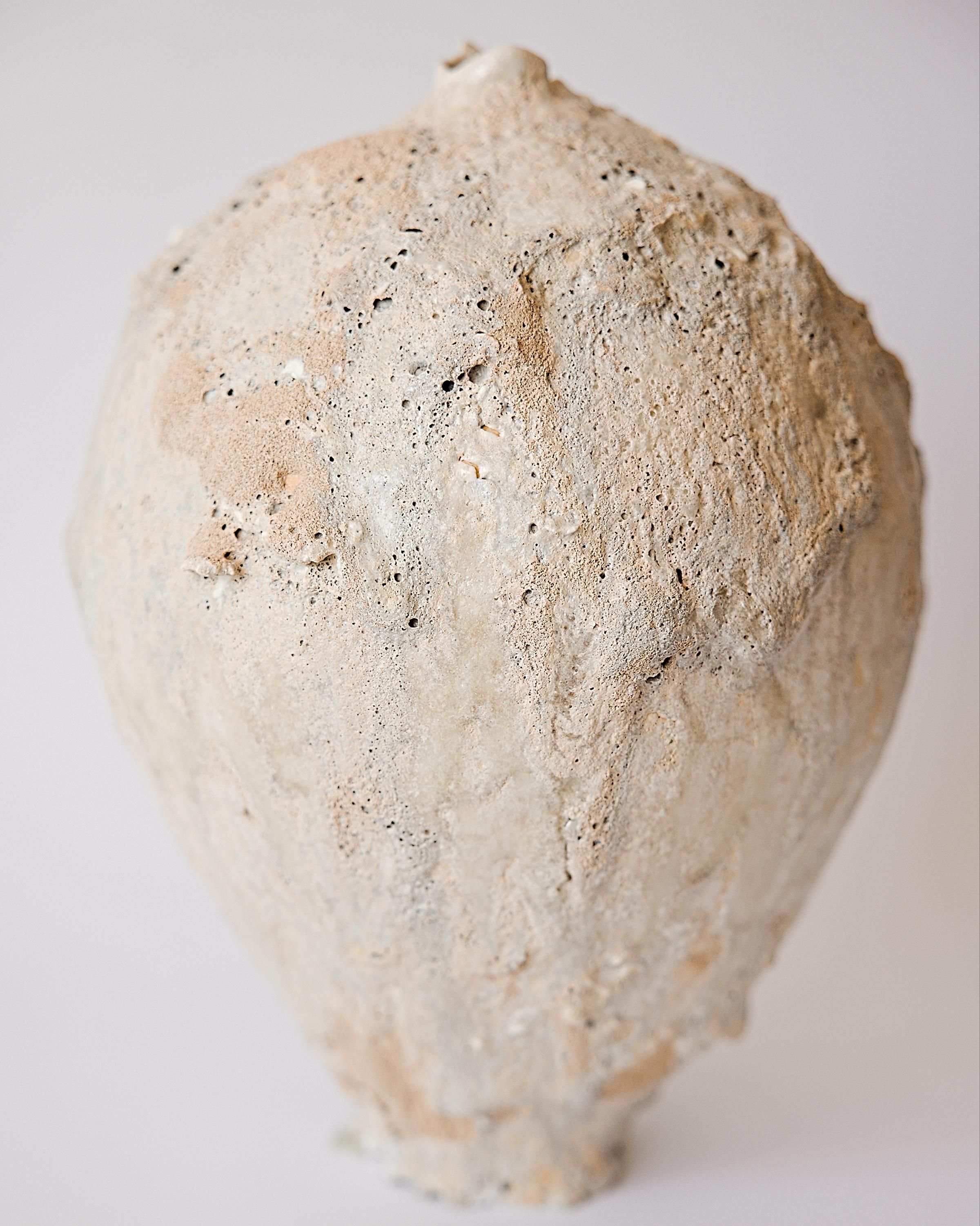 American Organic Natural Moon Vessel IV For Sale