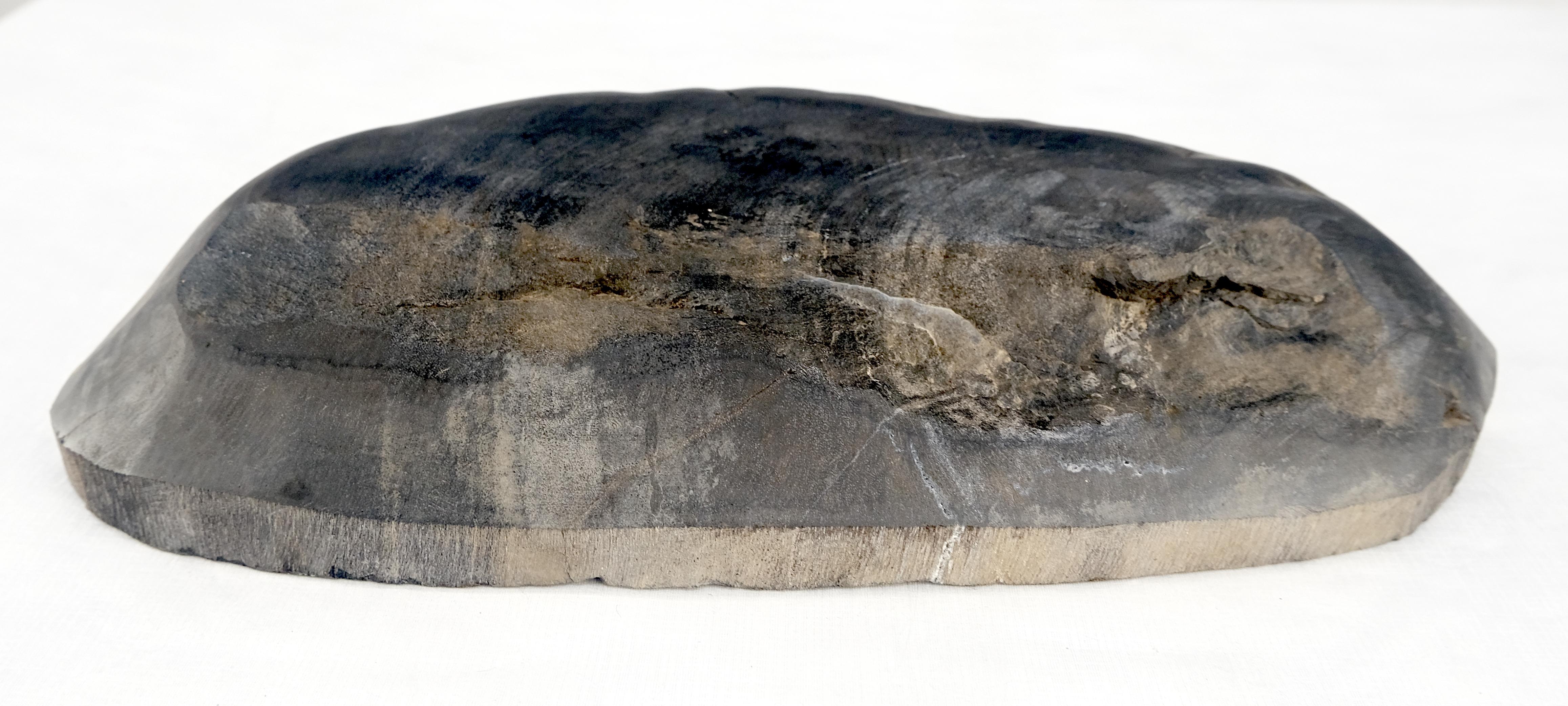 Vassoio organico di forma ovale in legno pietrificato nero e marrone, ciotola, piatto e posacenere in vendita 2