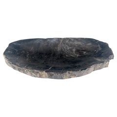 Bandeja de madera petrificada orgánica de forma ovalada negro y tostado Plato Cenicero