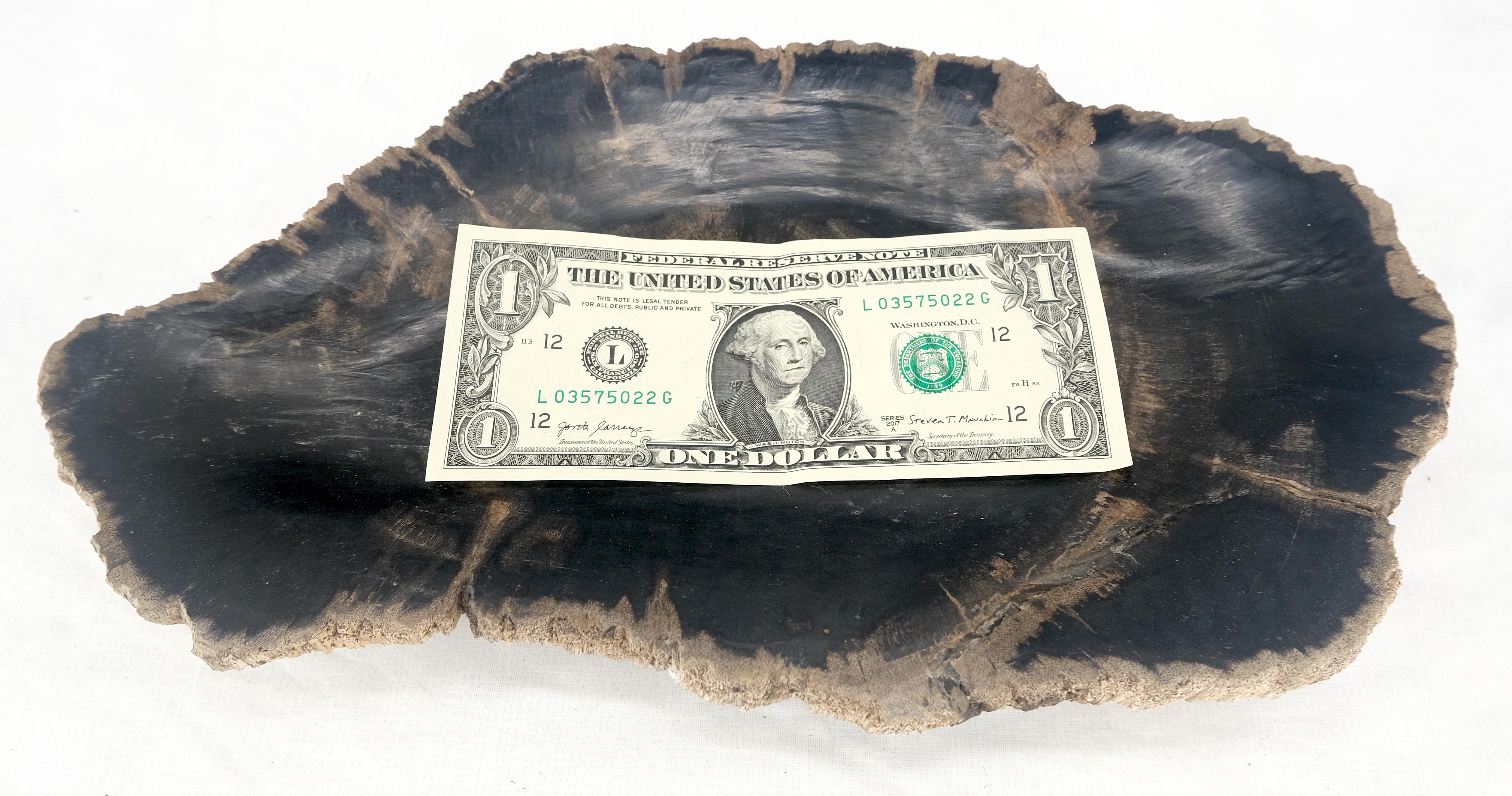 Plateau en forme d'huître en bois pétrifié noir et feu Cendrier en forme de bol et d'assiette en vente 3